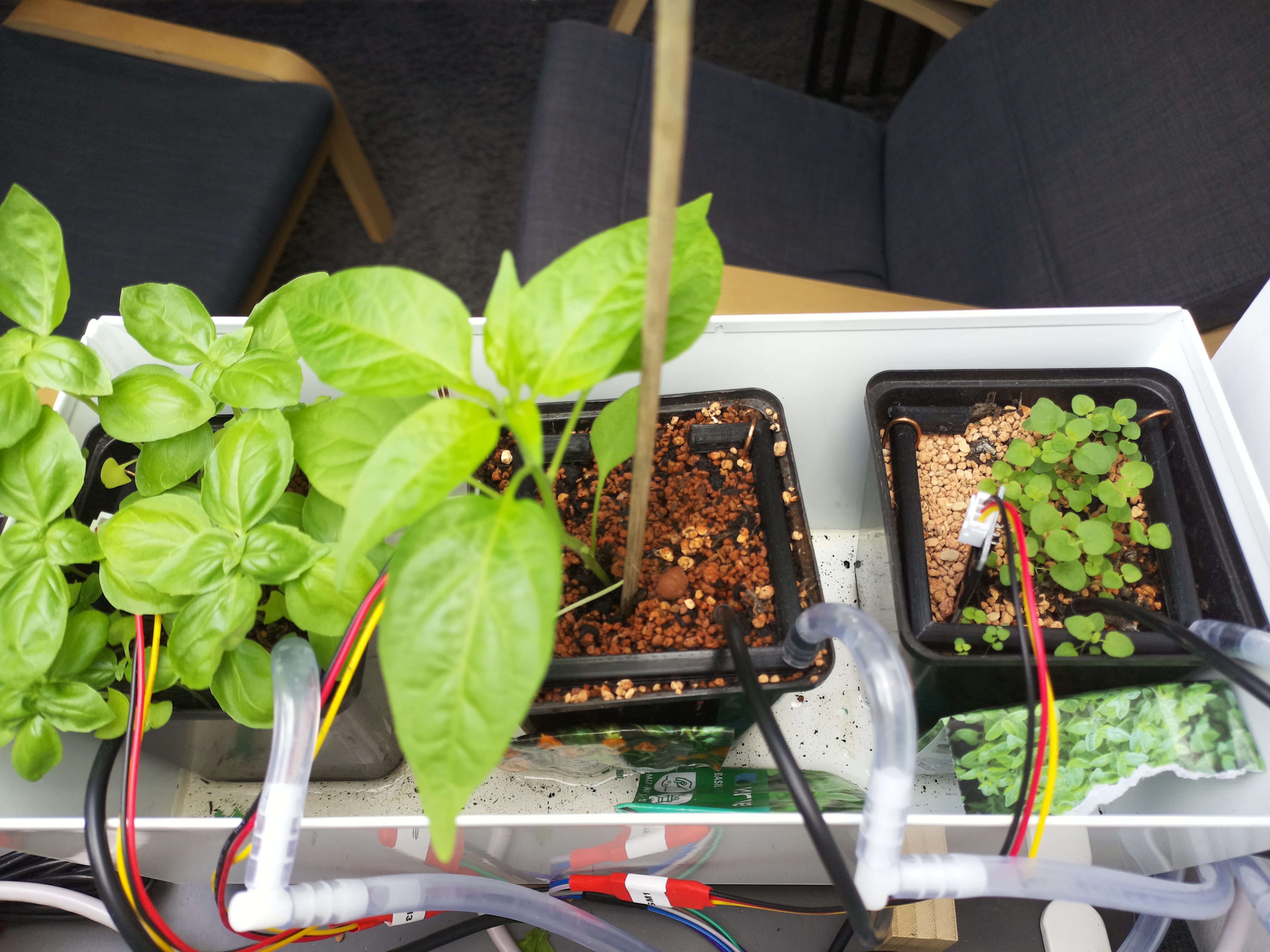 Timelapse image for April 16, 2026