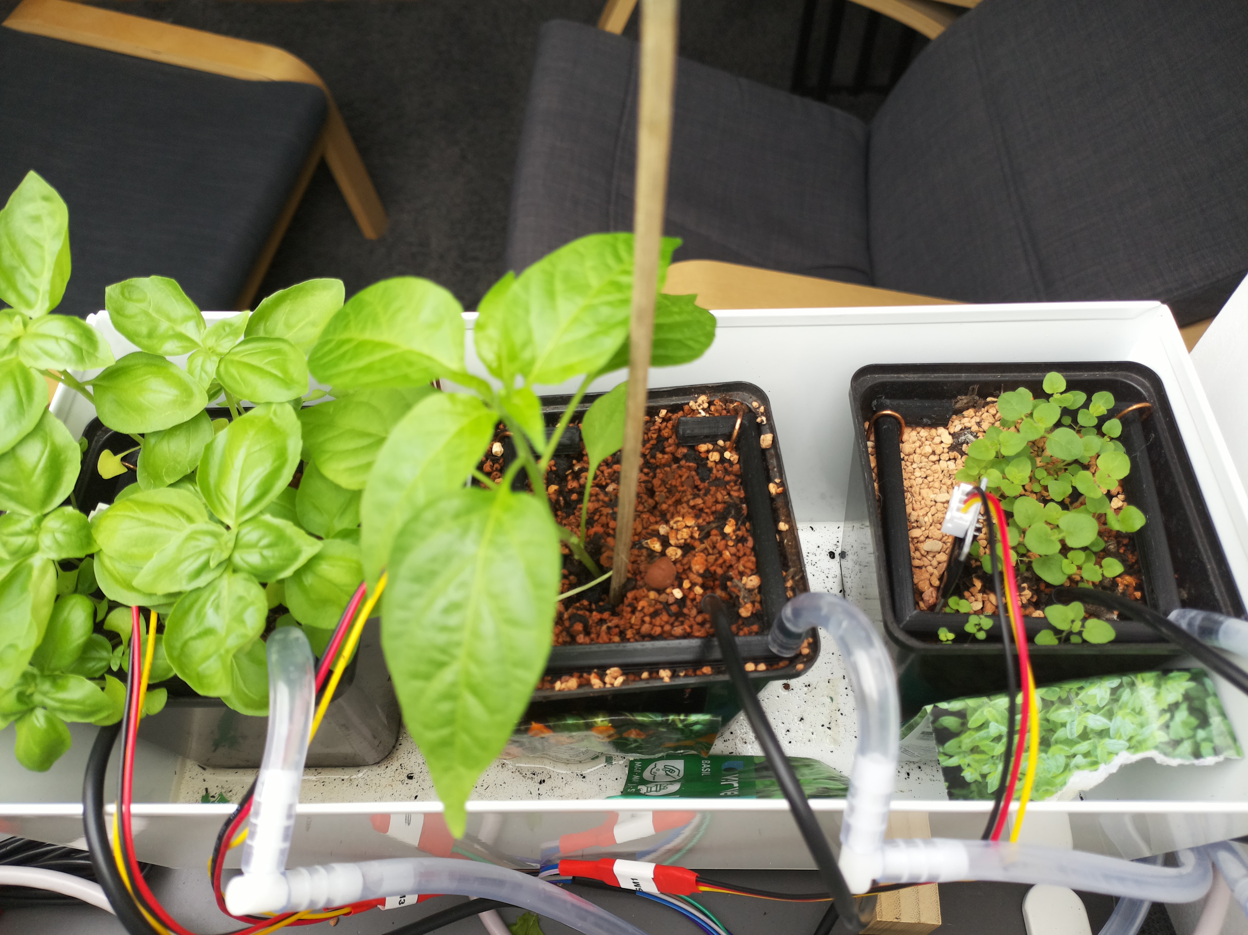 Timelapse image for April 16, 2026