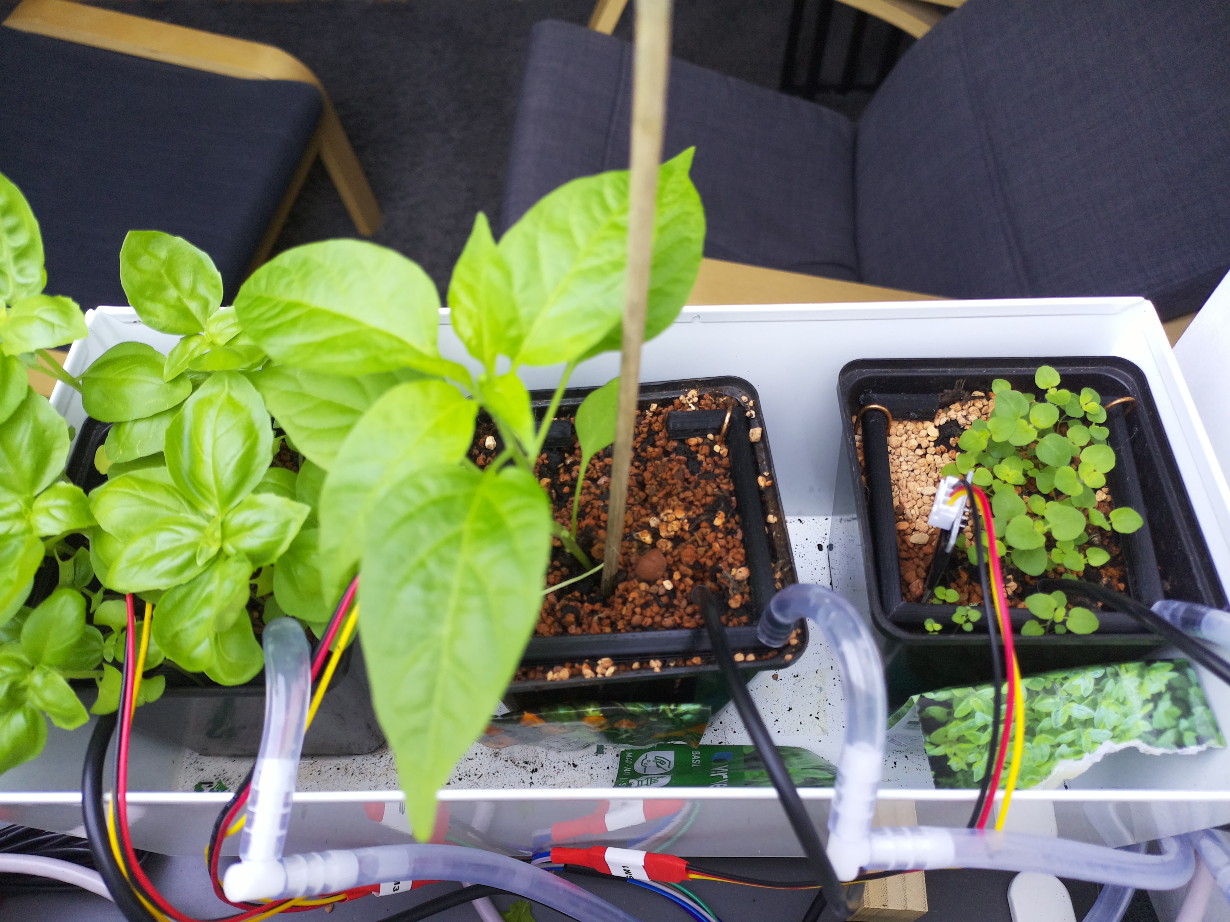 Timelapse image for April 17, 2026