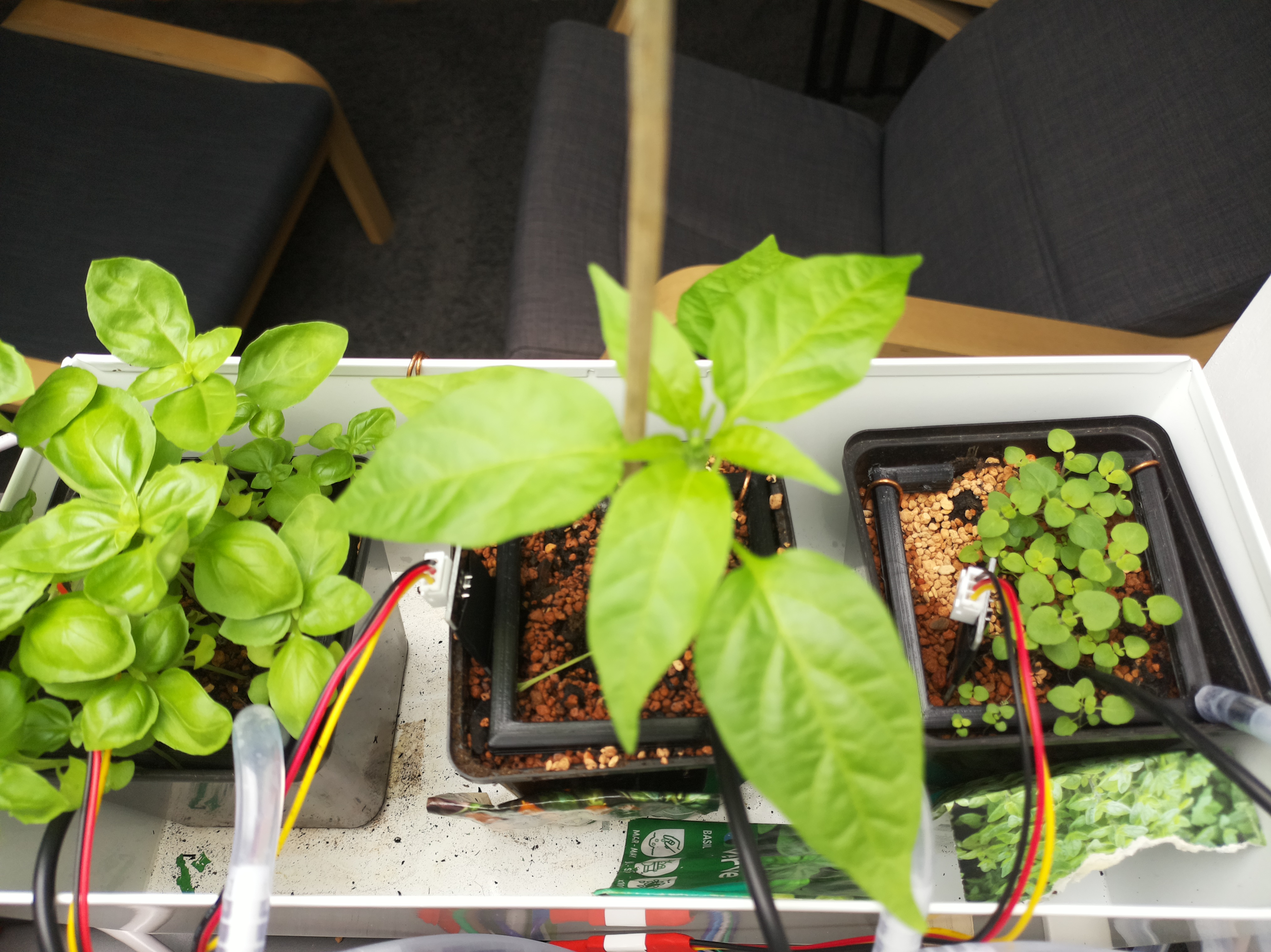 Timelapse image for April 17, 2026