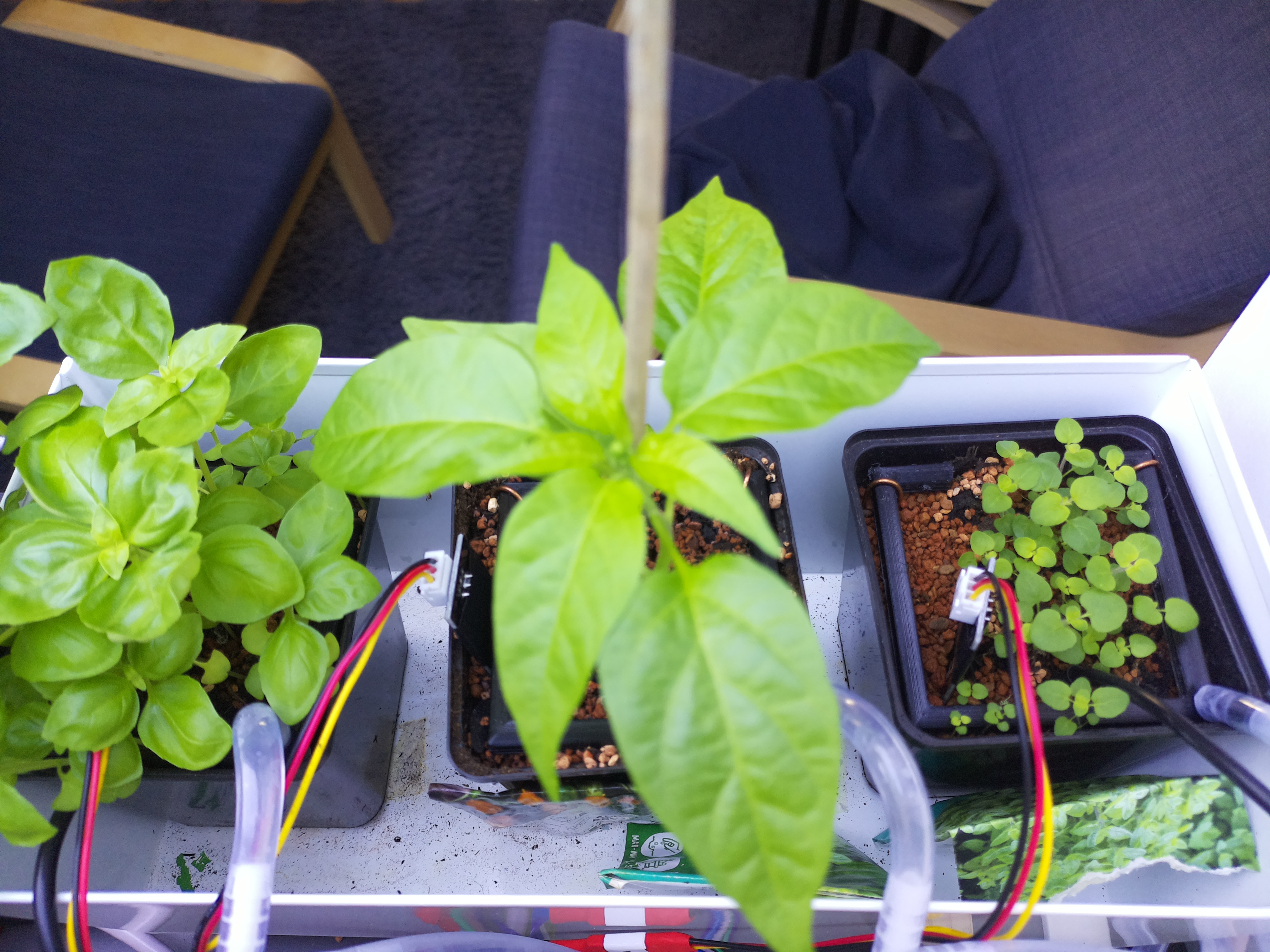 Timelapse image for April 18, 2026