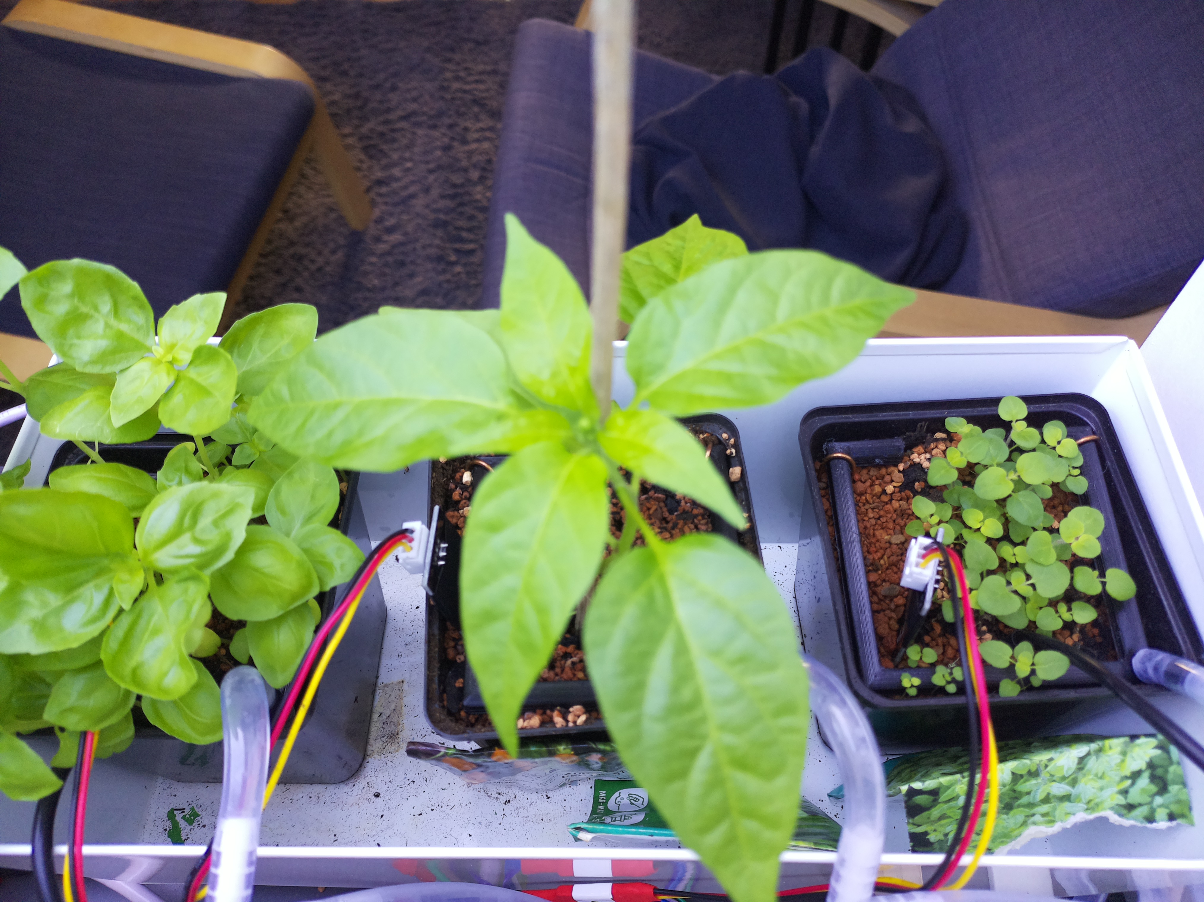 Timelapse image for April 18, 2026