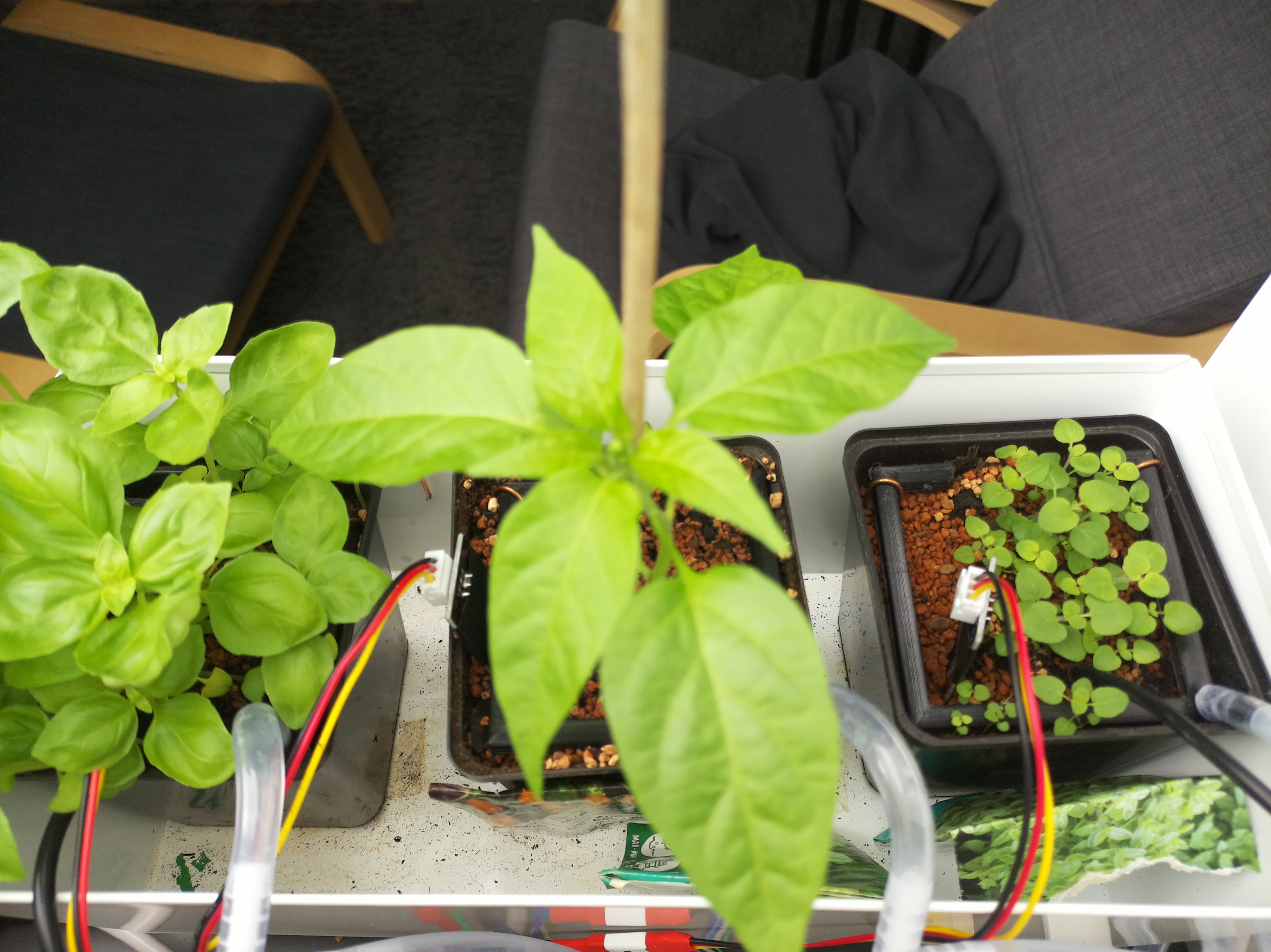 Timelapse image for April 18, 2026