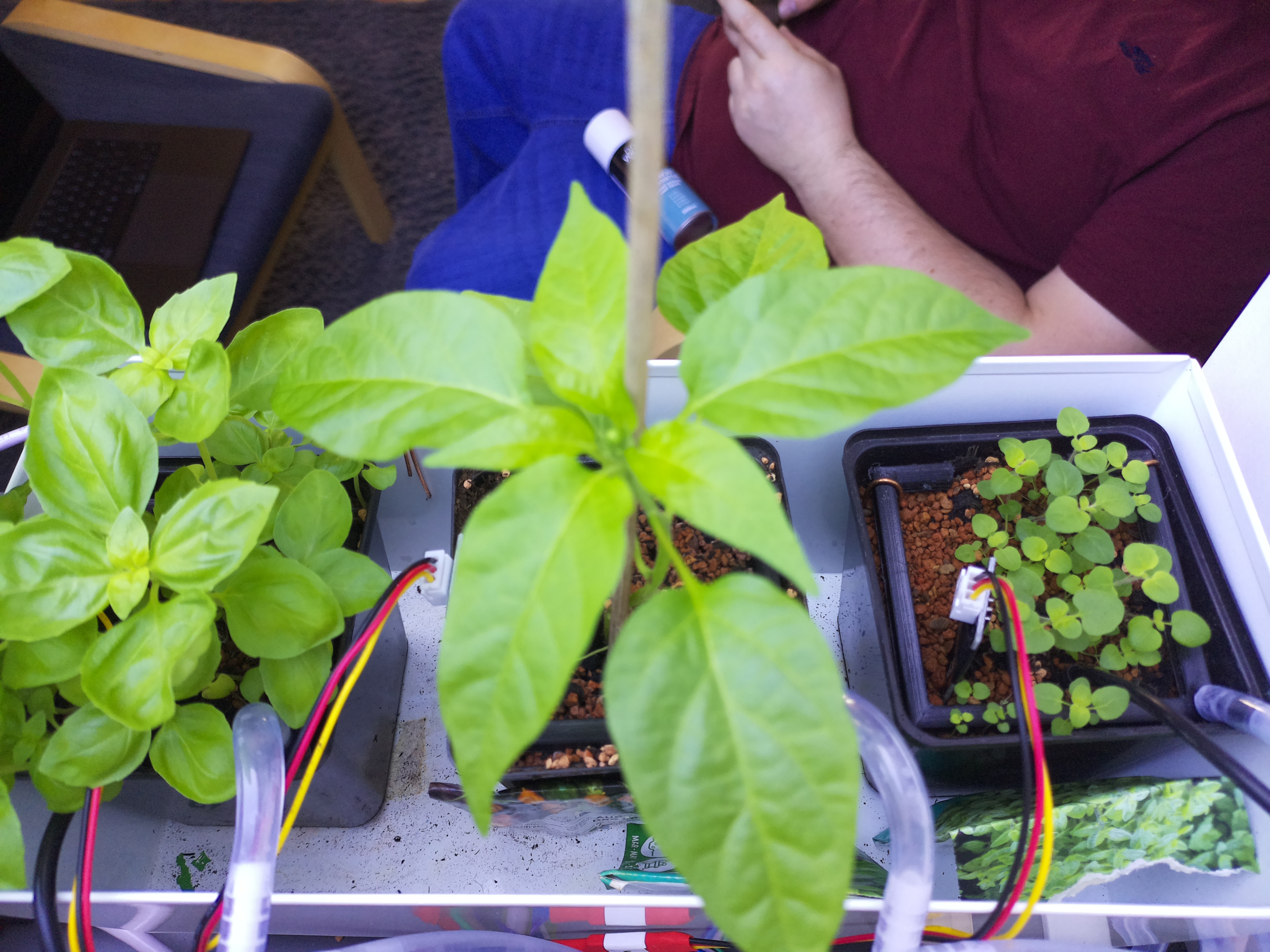 Timelapse image for April 19, 2026