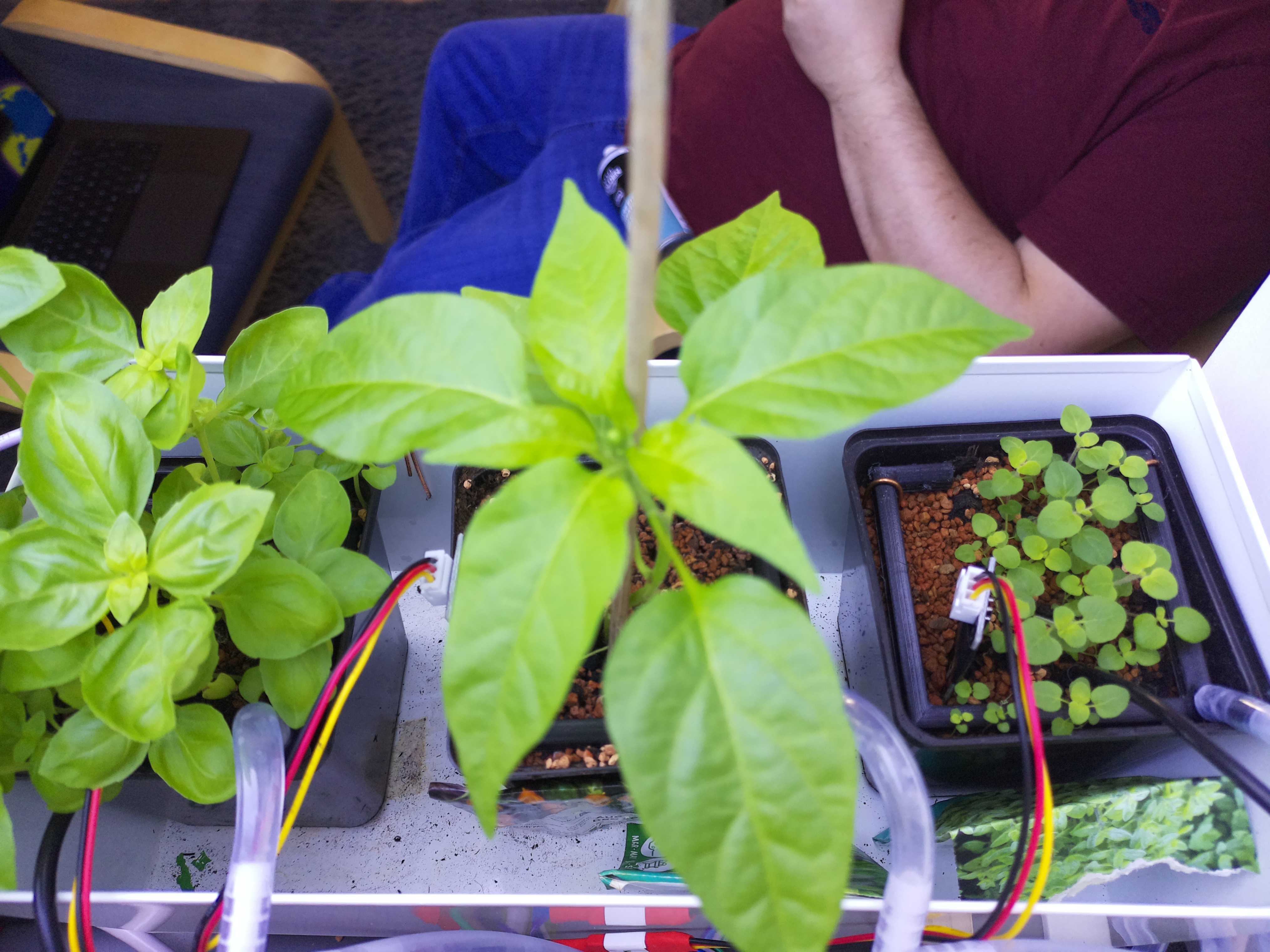 Timelapse image for April 19, 2026