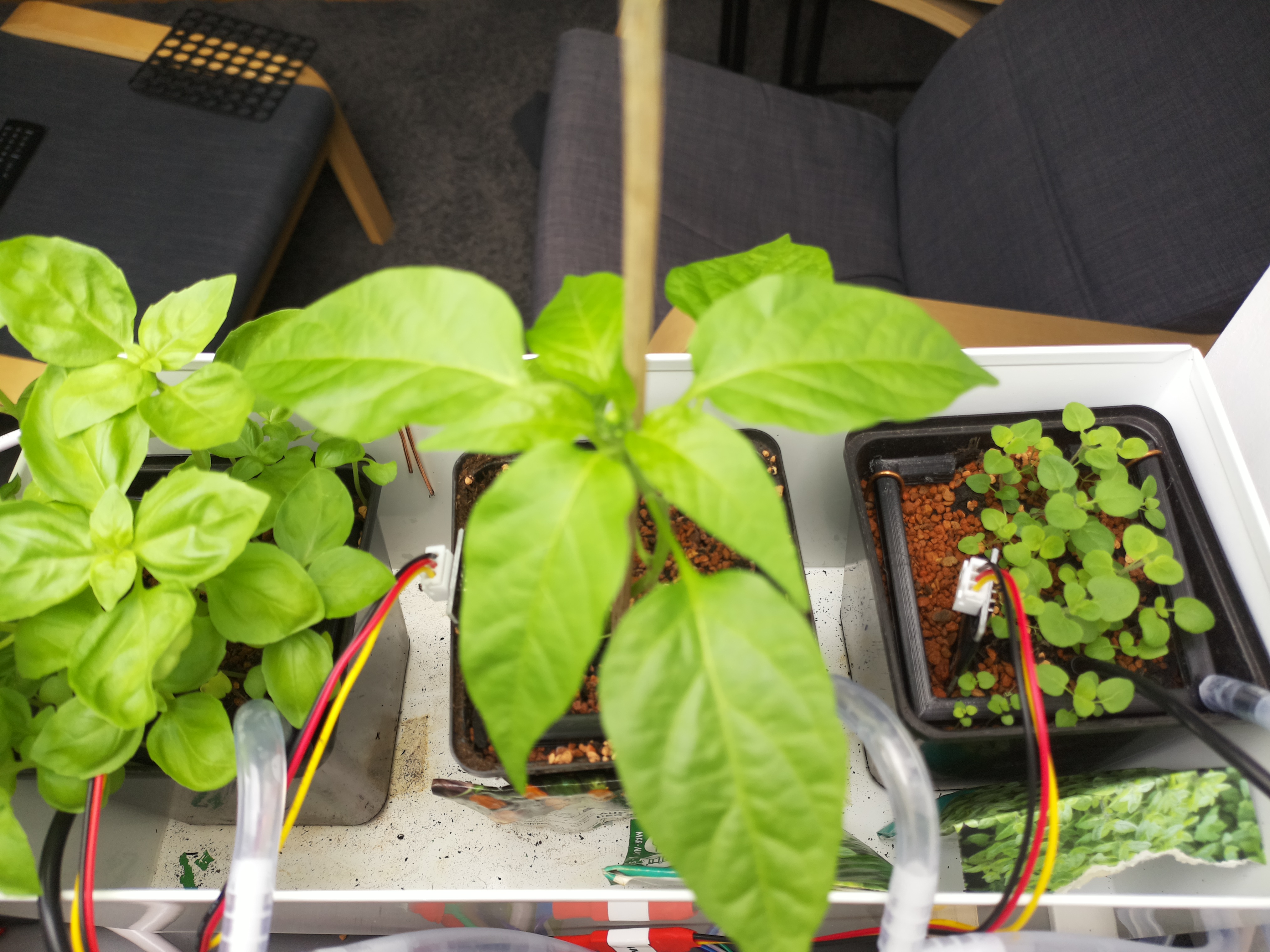 Timelapse image for April 19, 2026