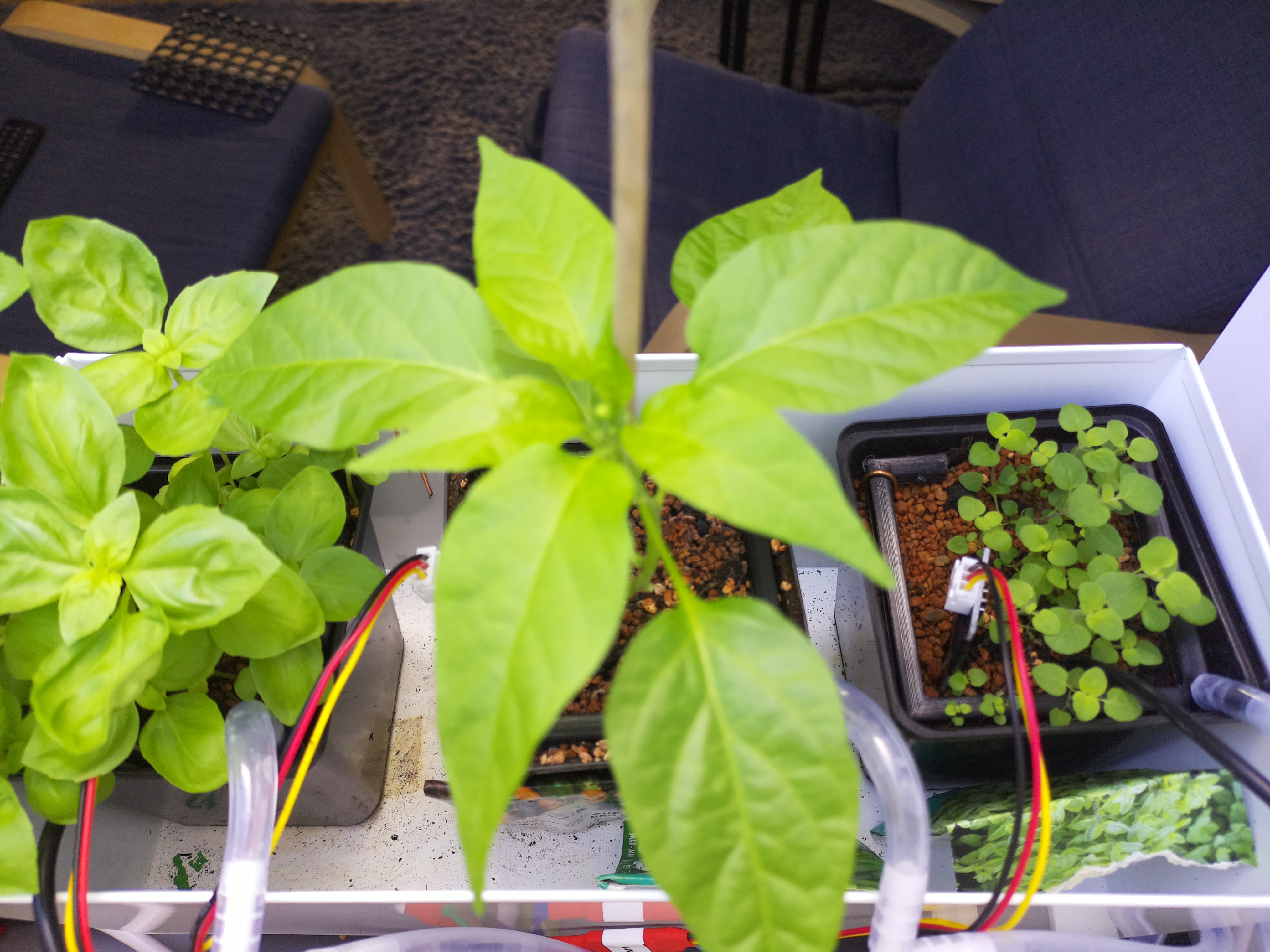 Timelapse image for April 20, 2026