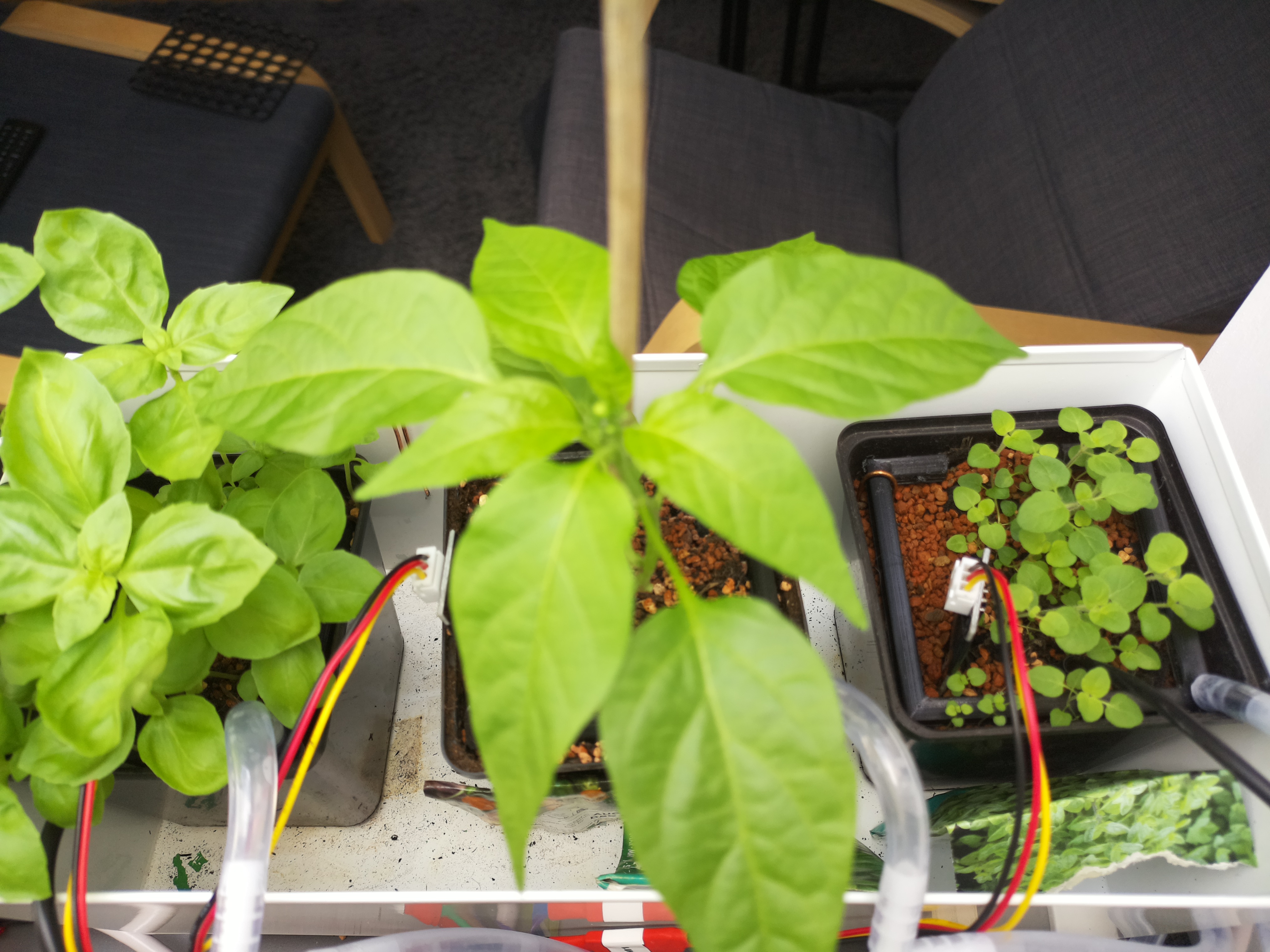 Timelapse image for April 20, 2026