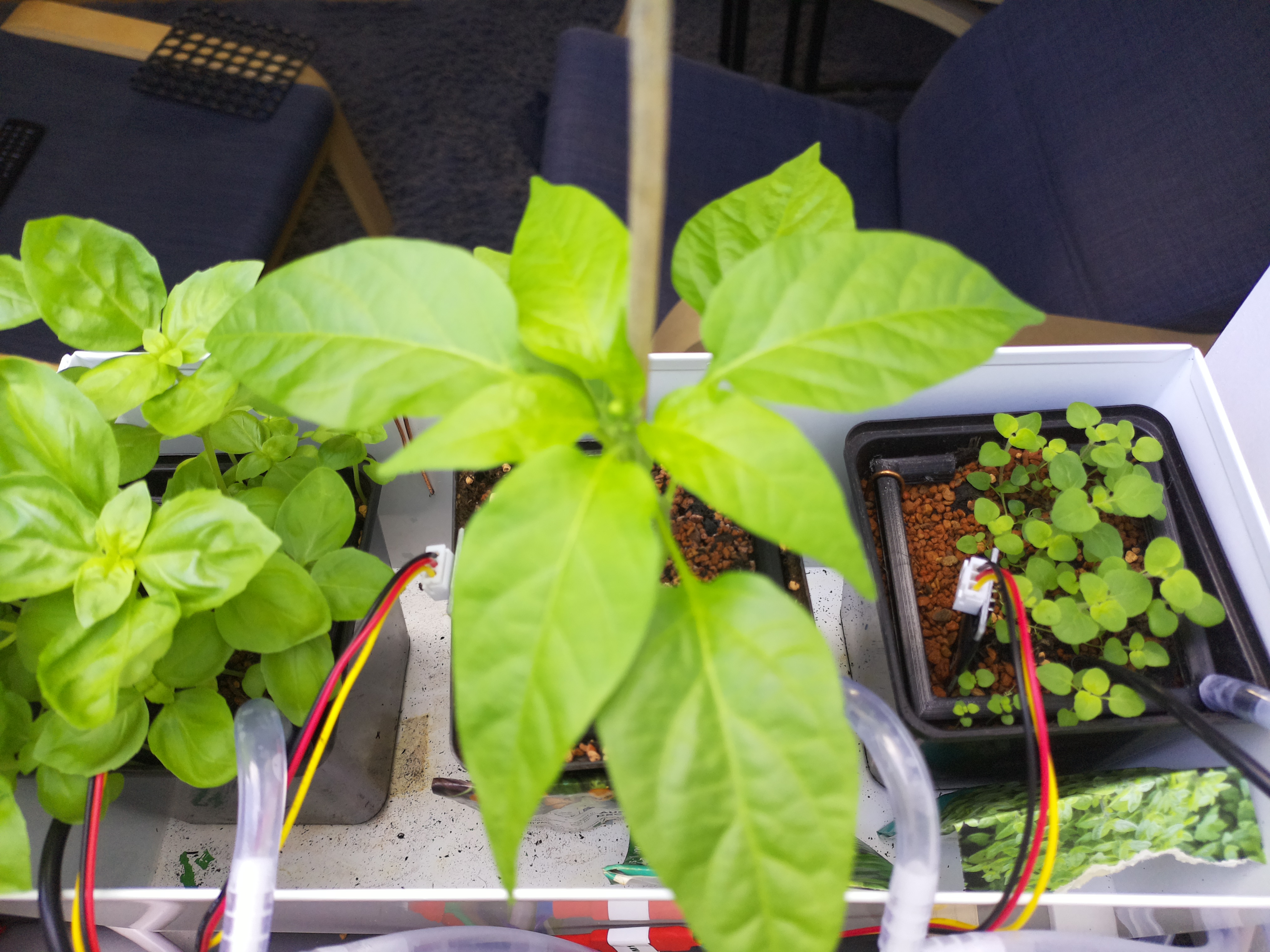 Timelapse image for April 20, 2026