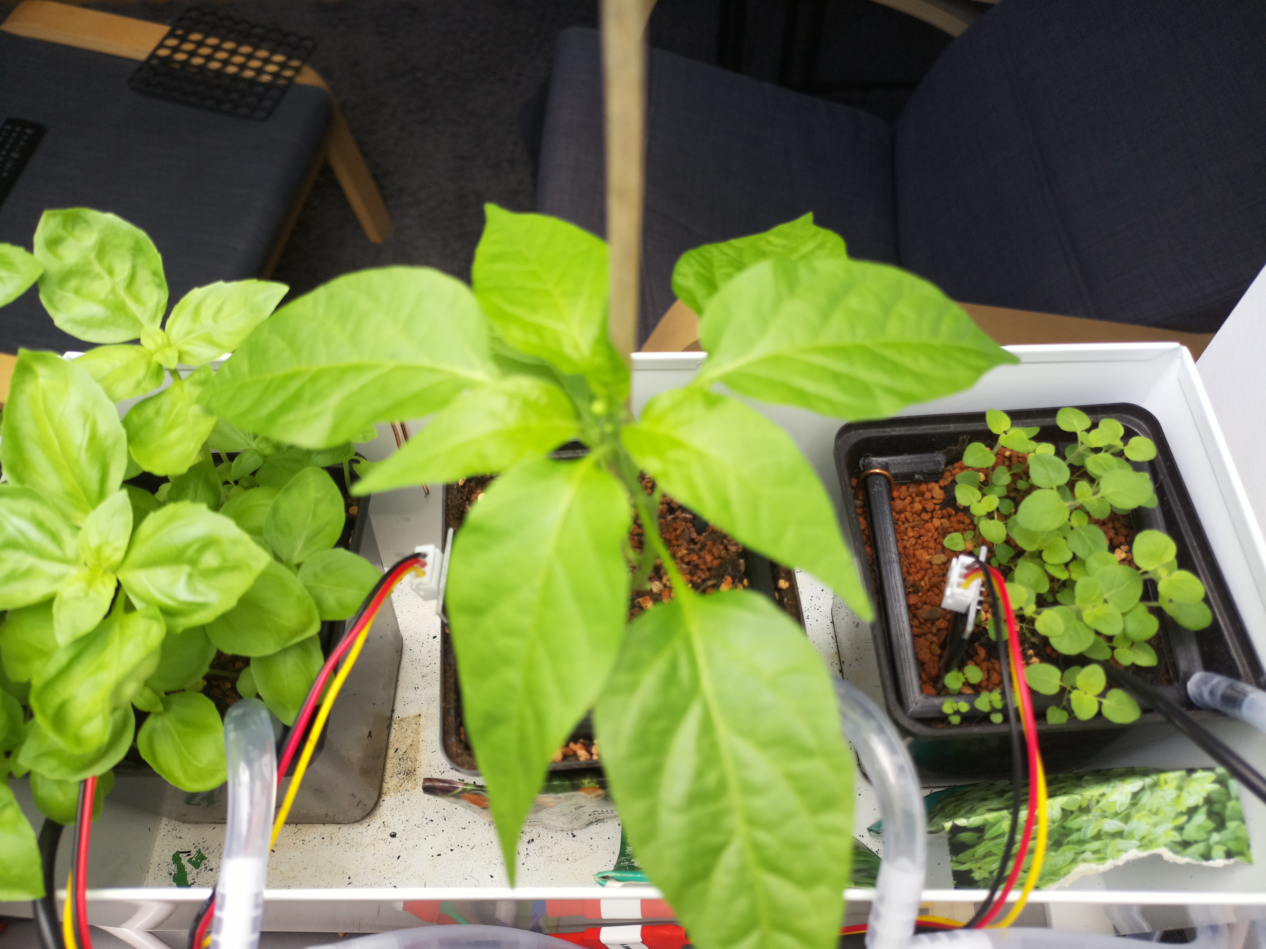 Timelapse image for April 20, 2026