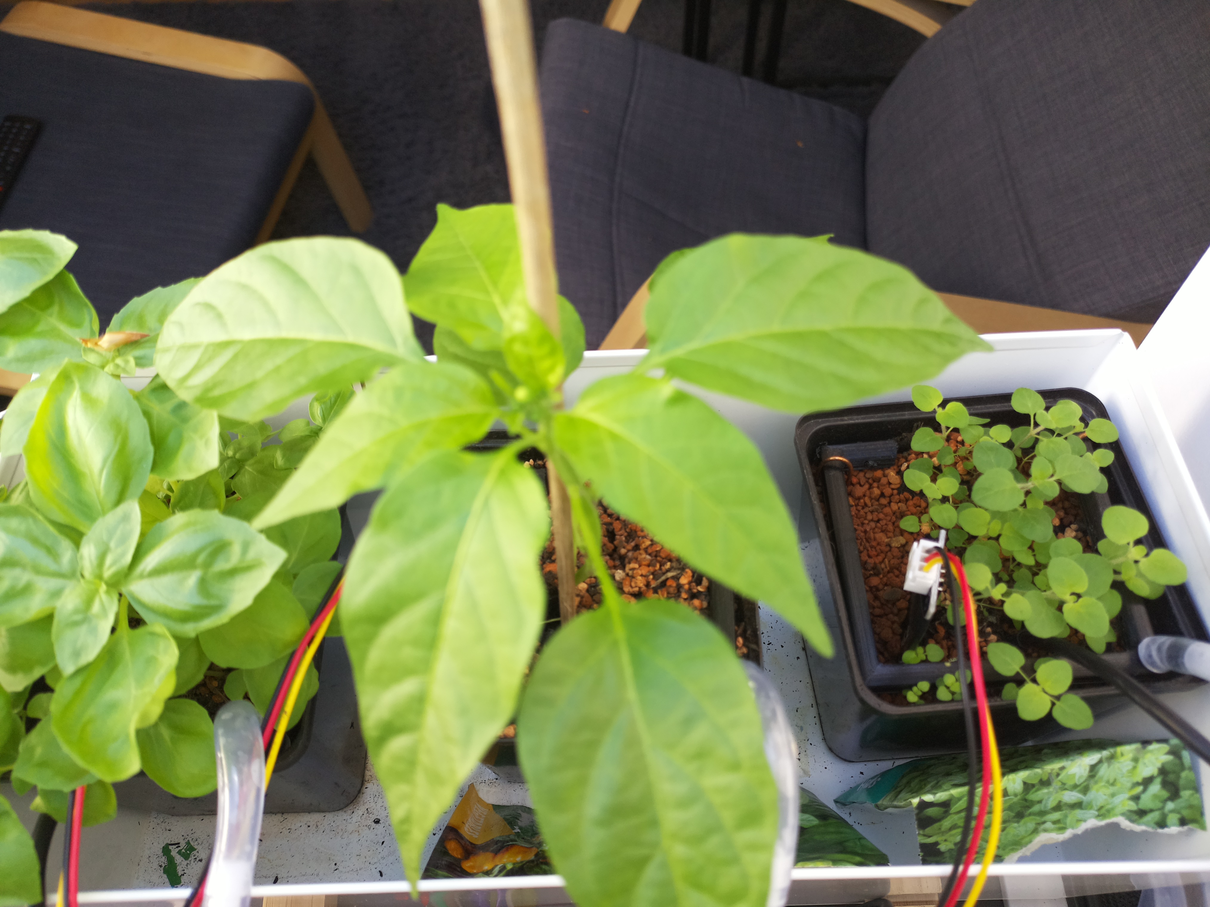 Timelapse image for April 21, 2026