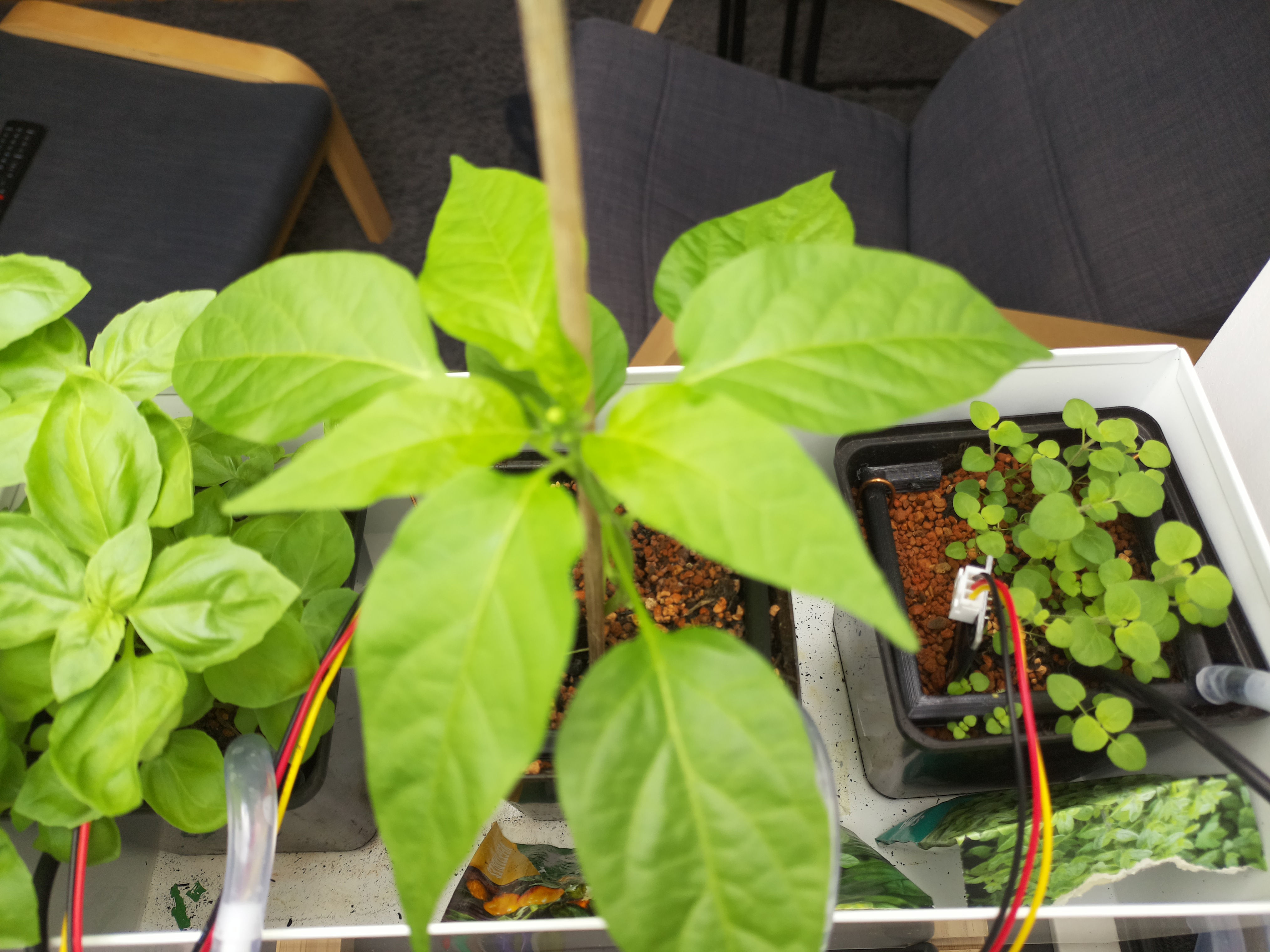 Timelapse image for April 21, 2026