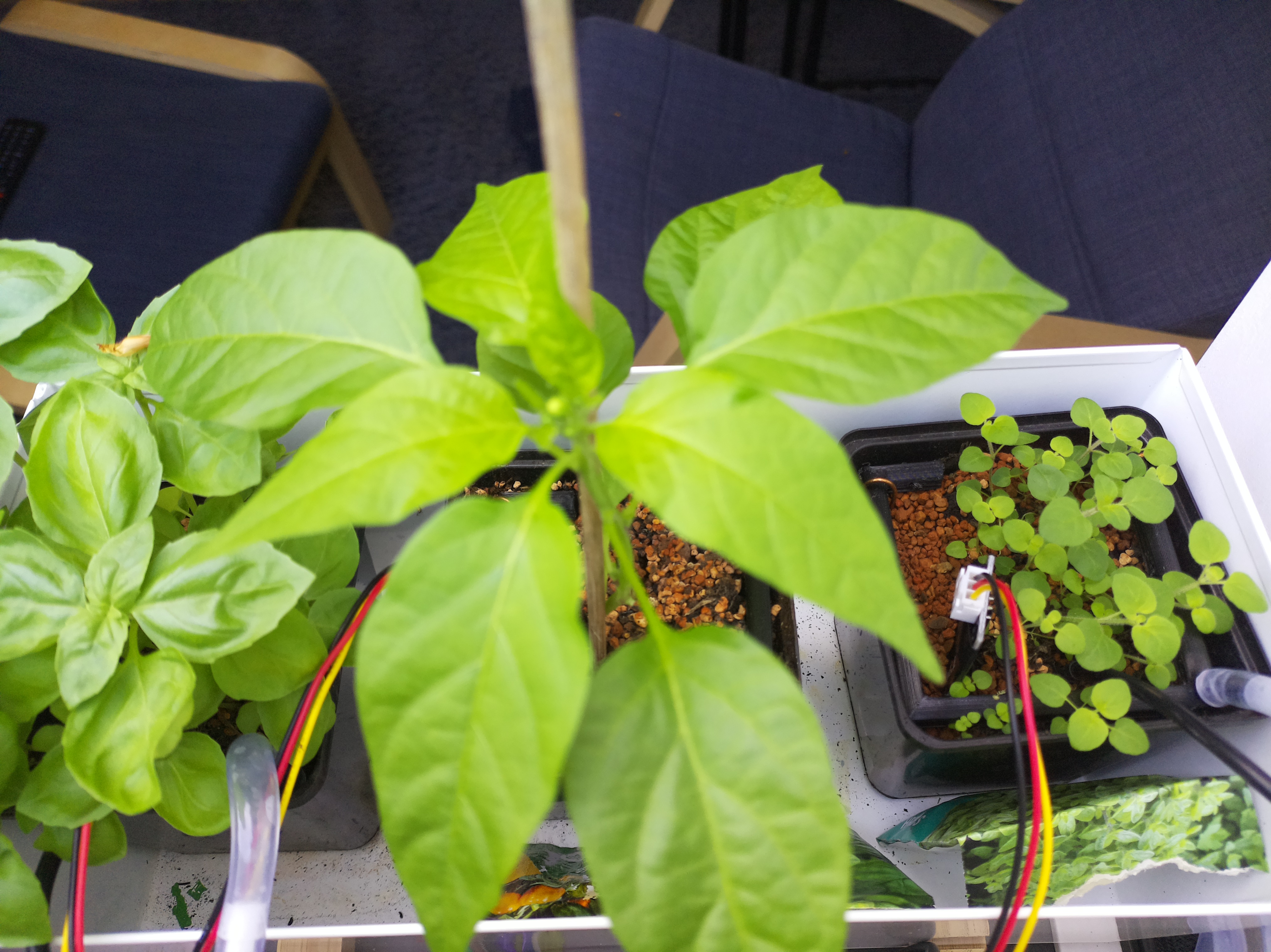 Timelapse image for April 22, 2026