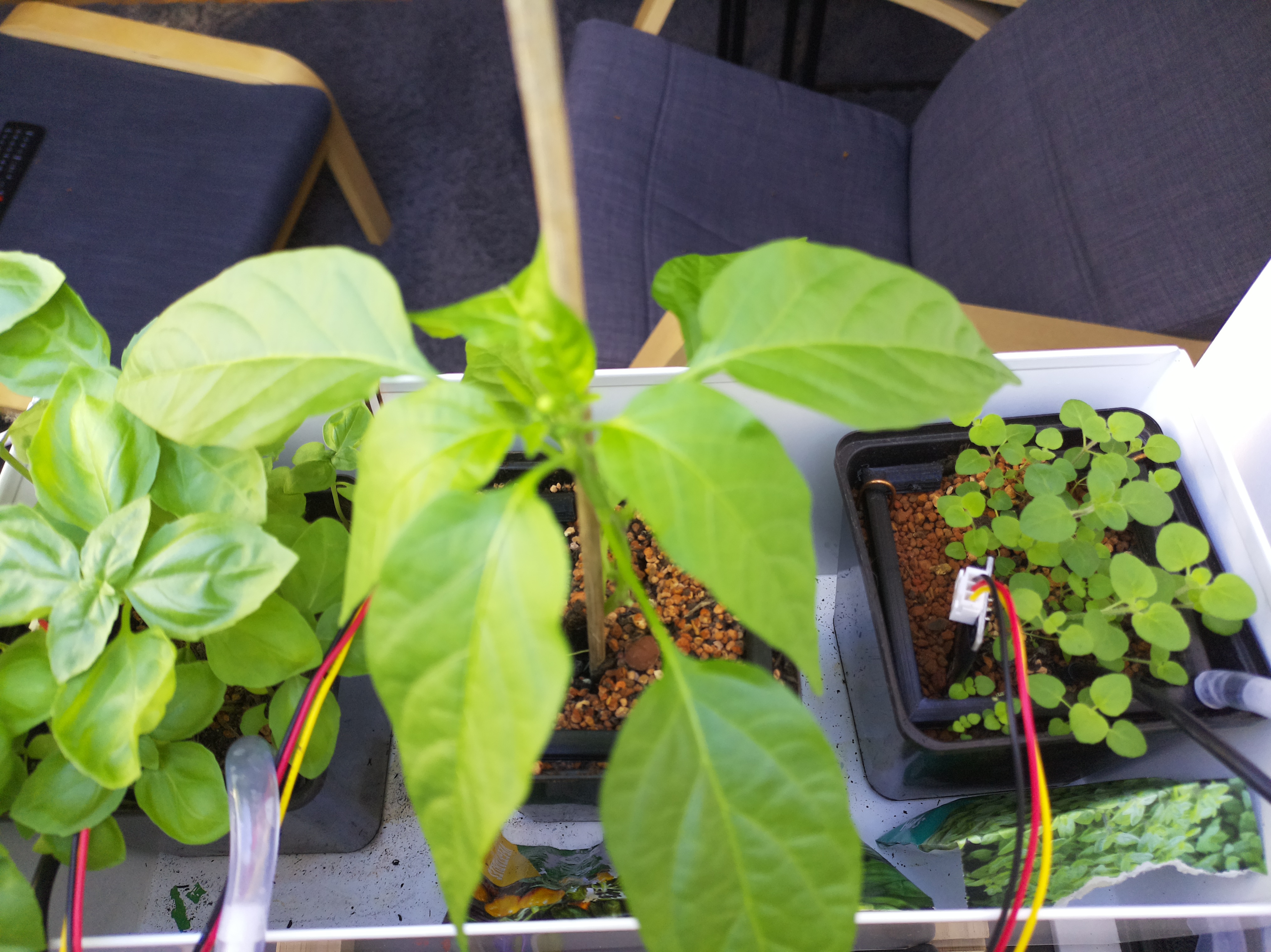 Timelapse image for April 22, 2026