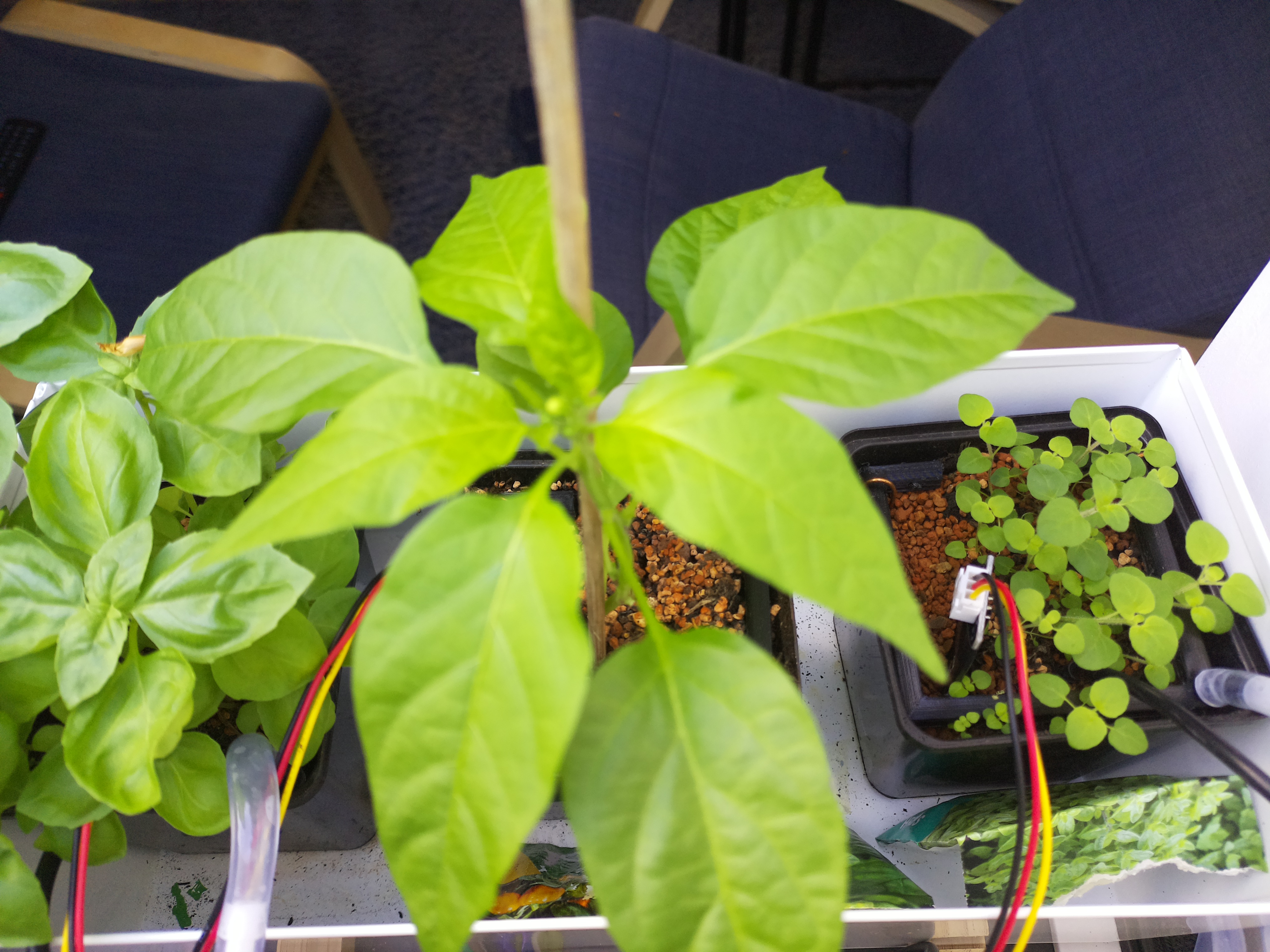 Timelapse image for April 22, 2026