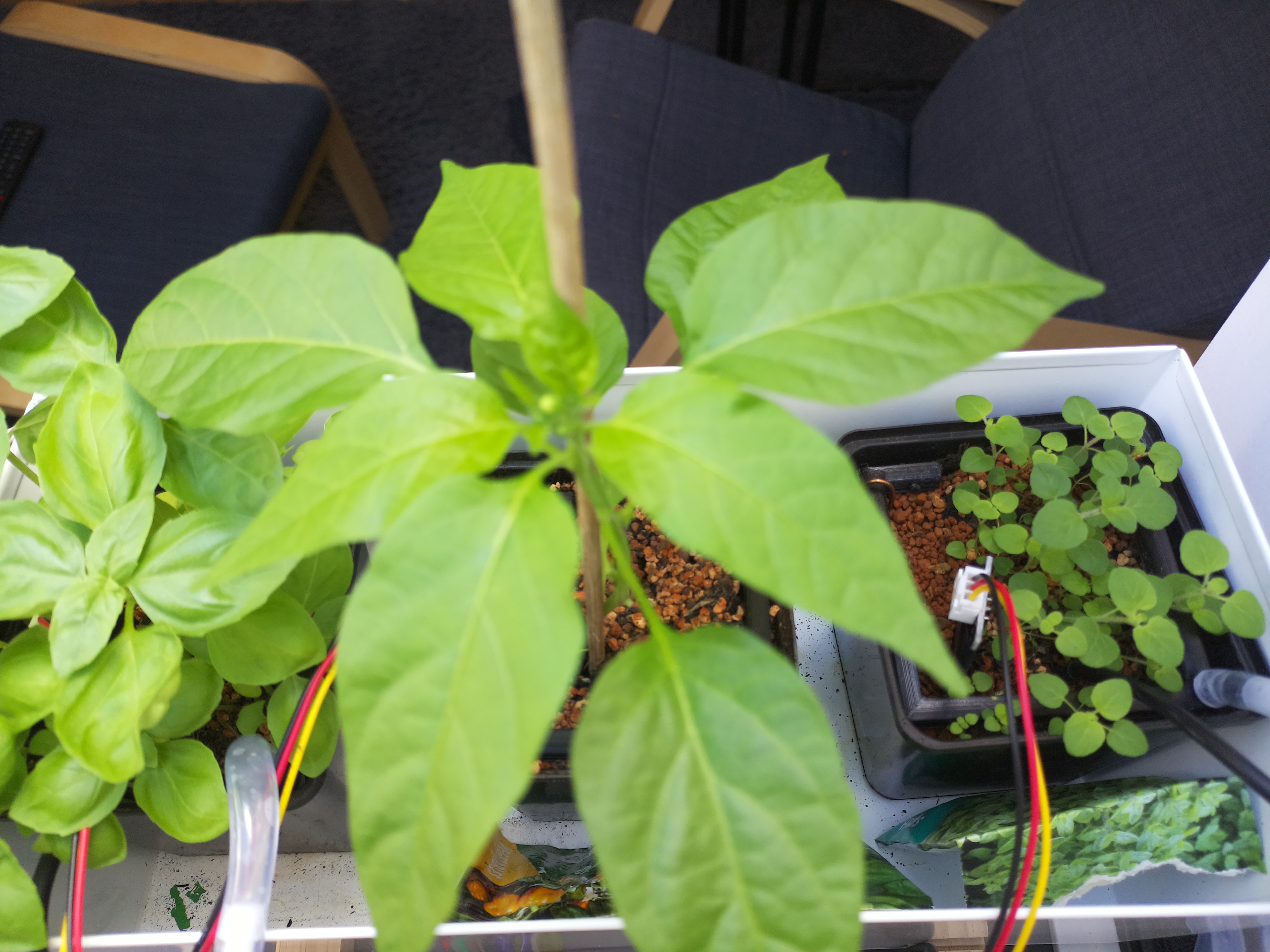 Timelapse image for April 22, 2026