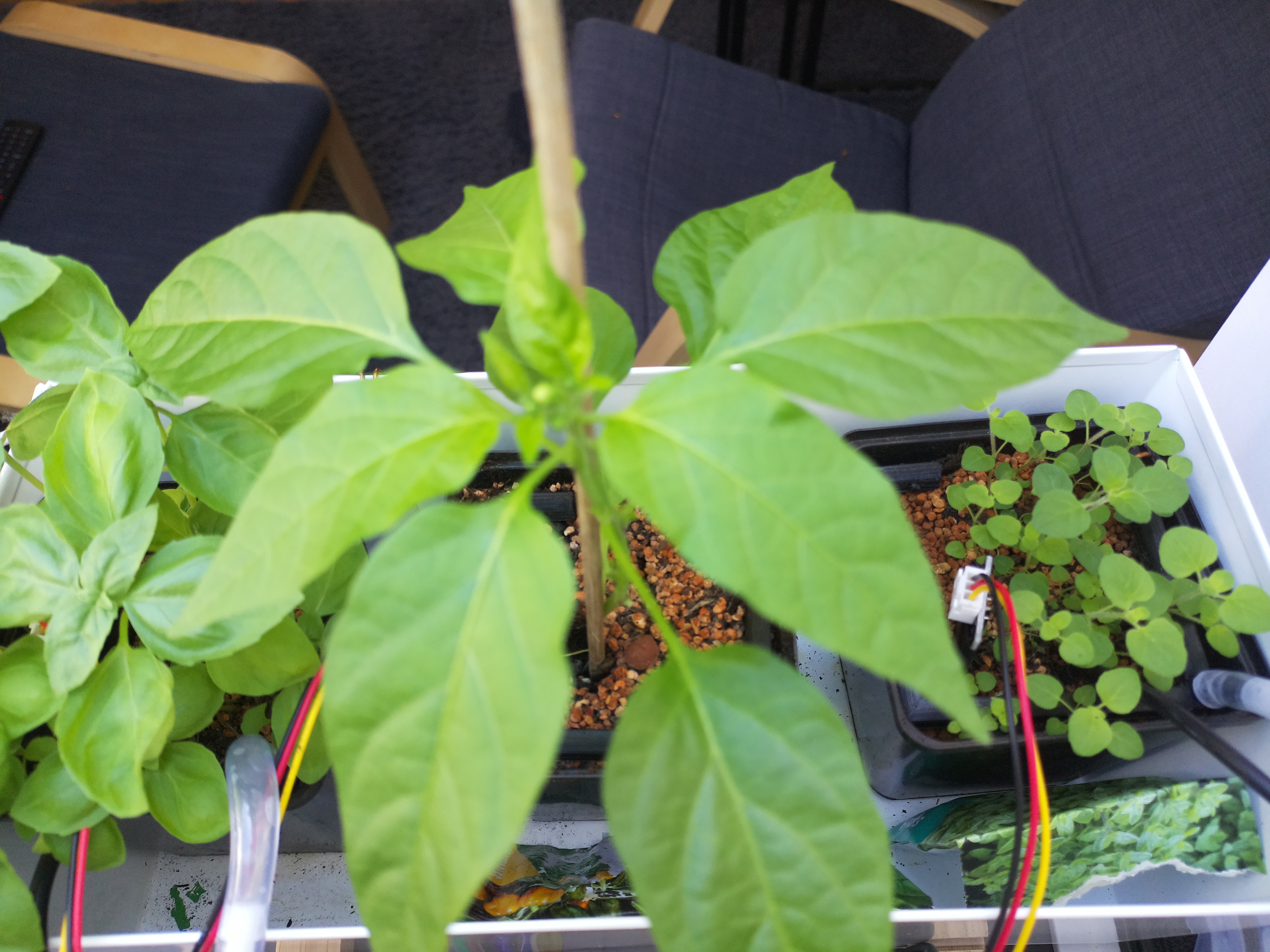 Timelapse image for April 23, 2026