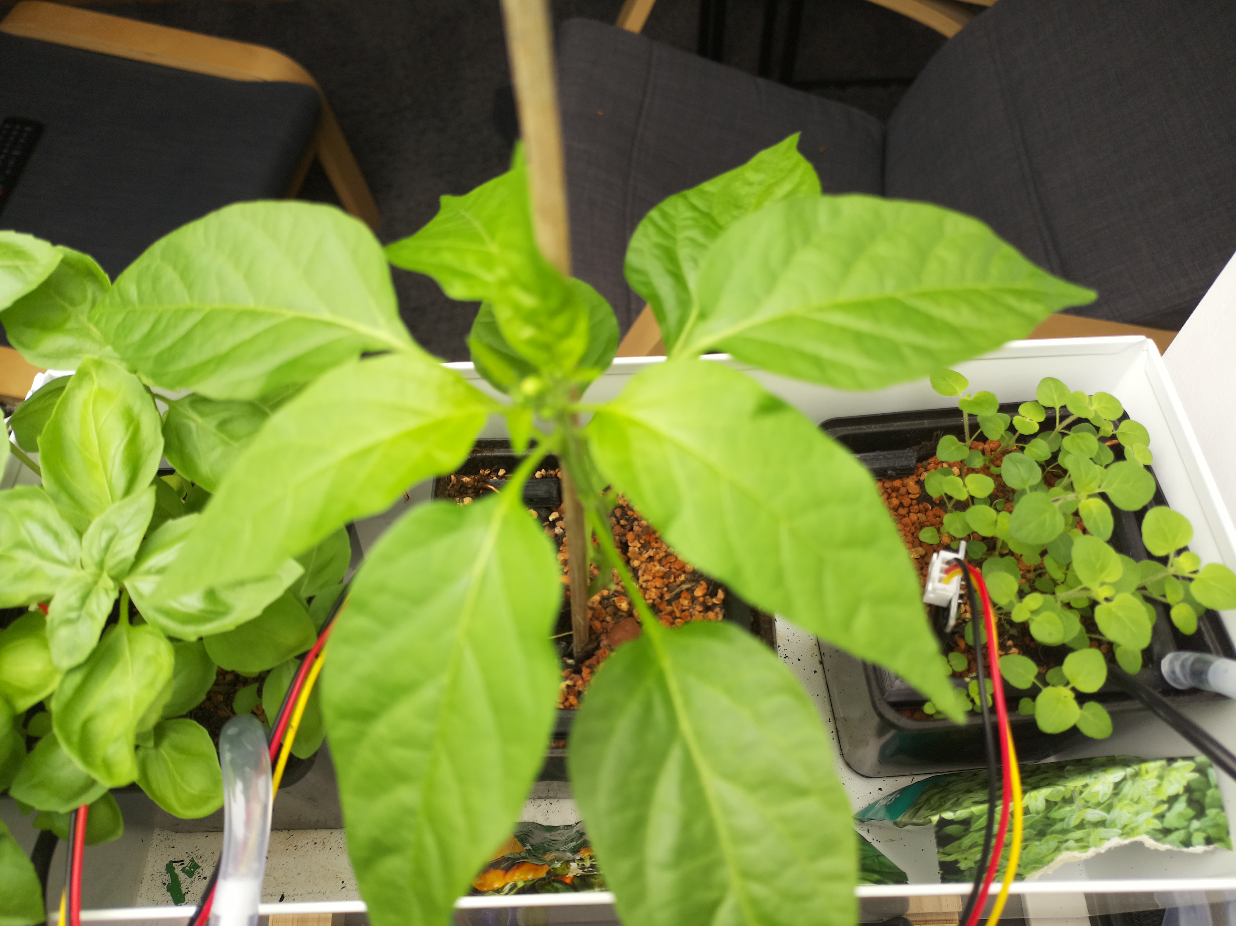 Timelapse image for April 23, 2026