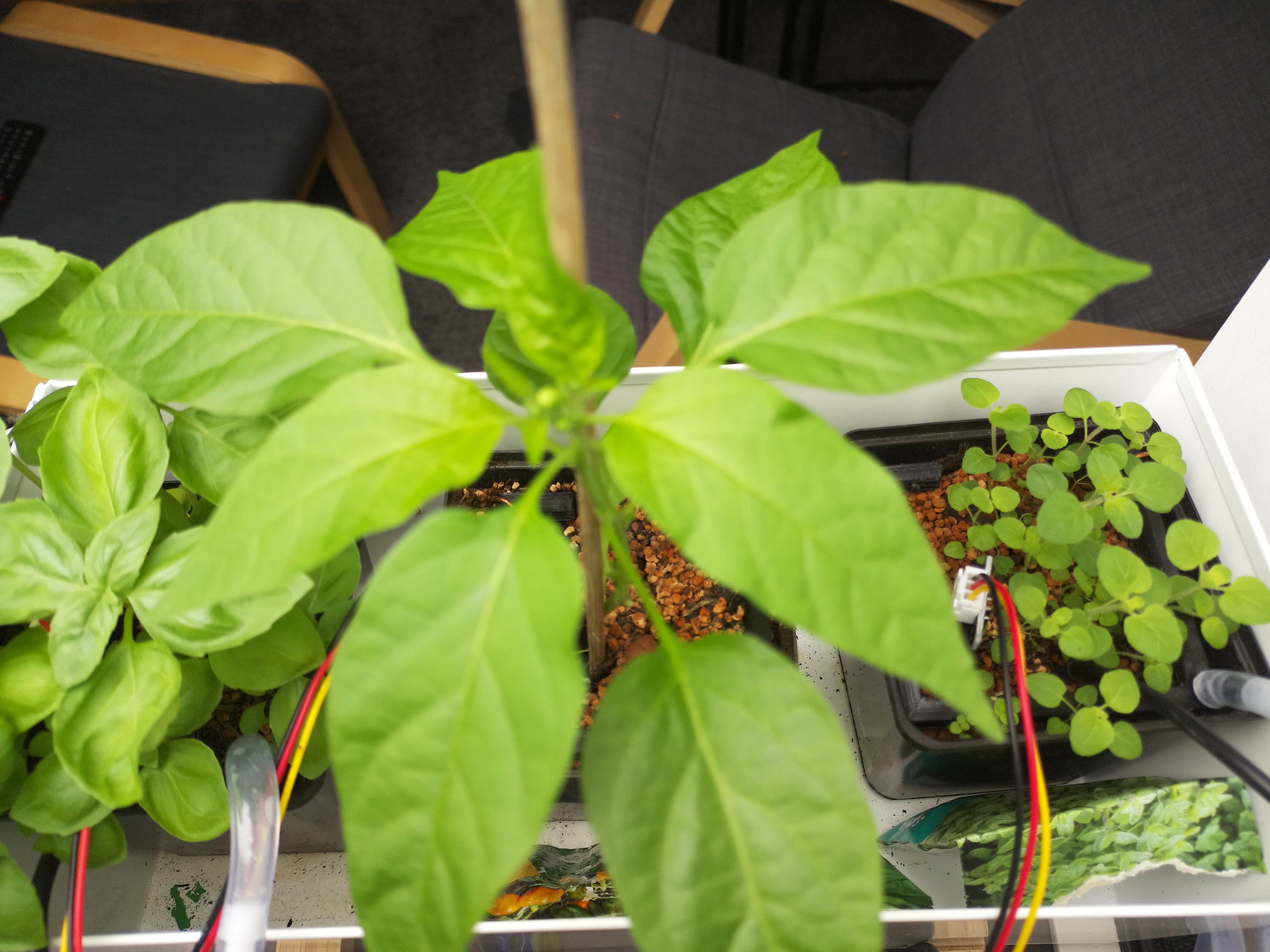 Timelapse image for April 23, 2026