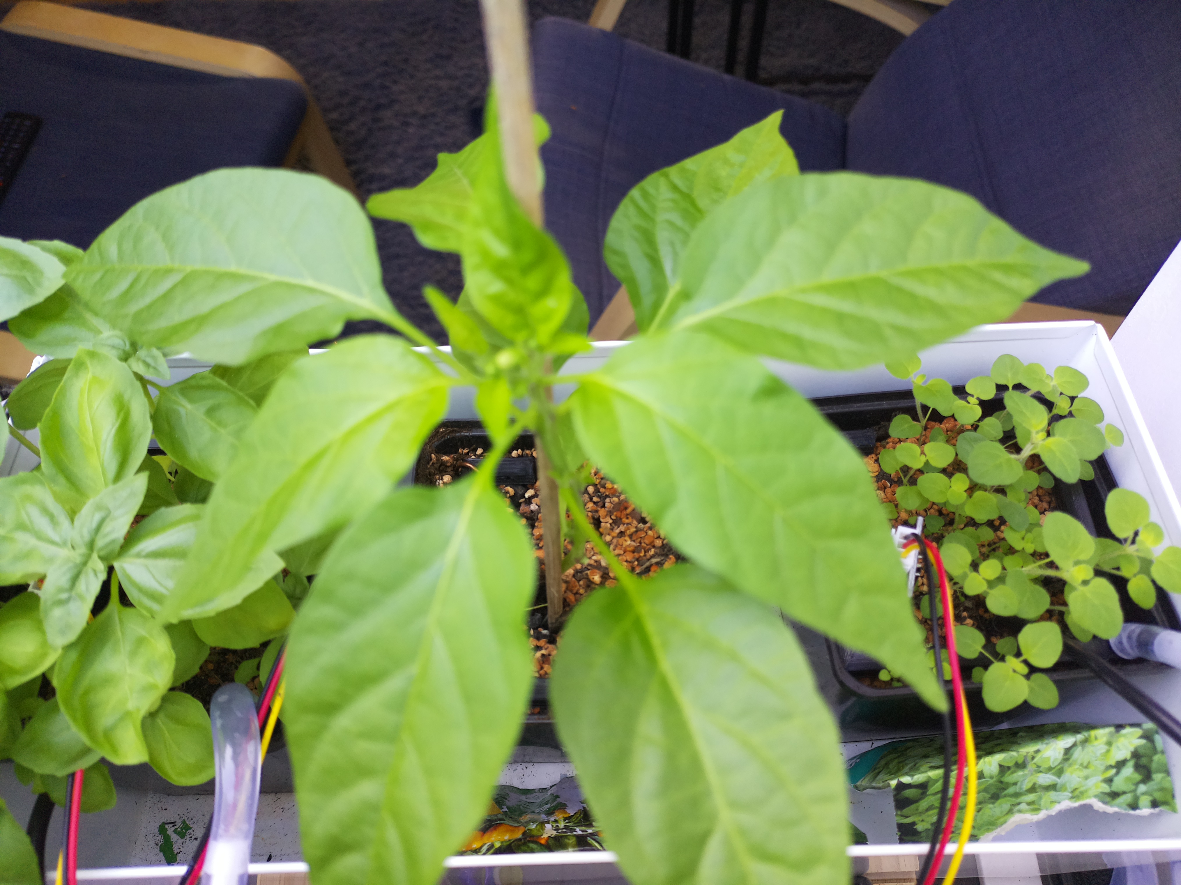 Timelapse image for April 24, 2026