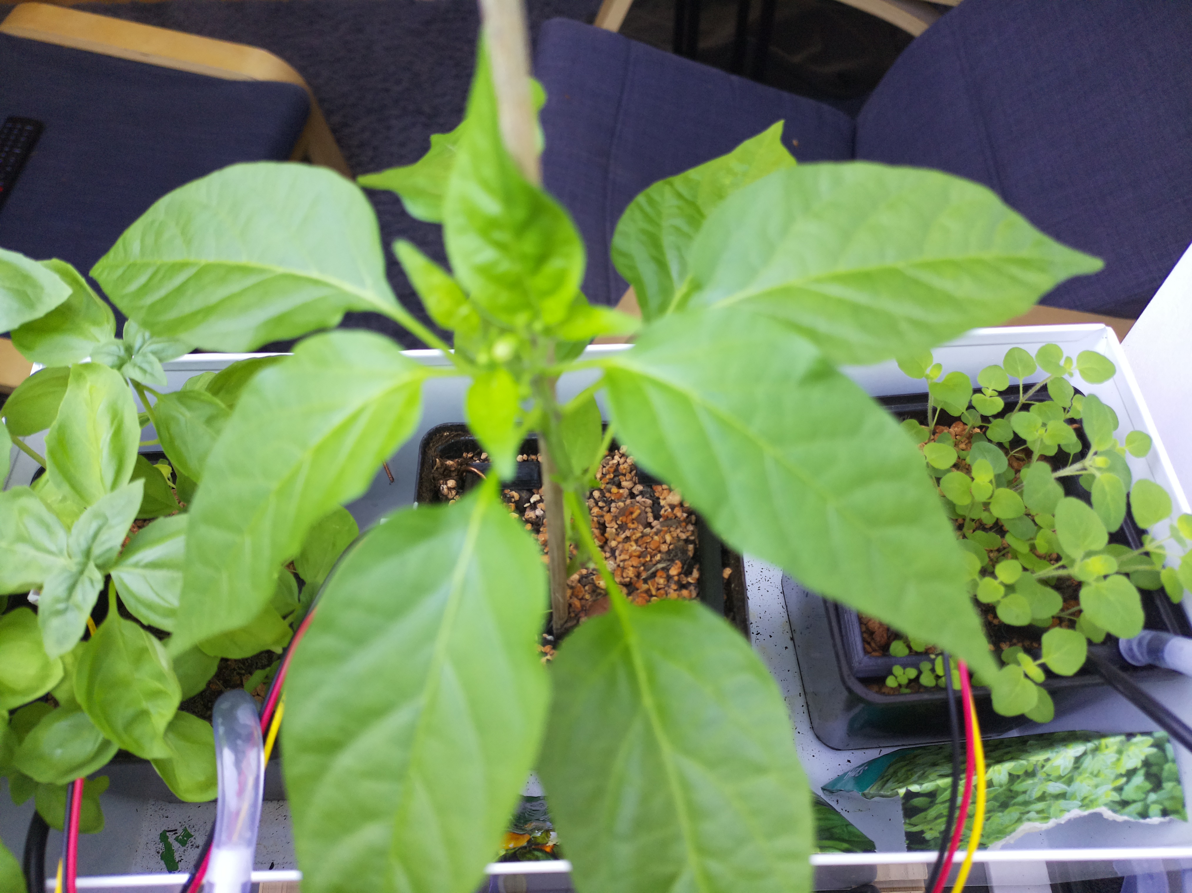 Timelapse image for April 25, 2026