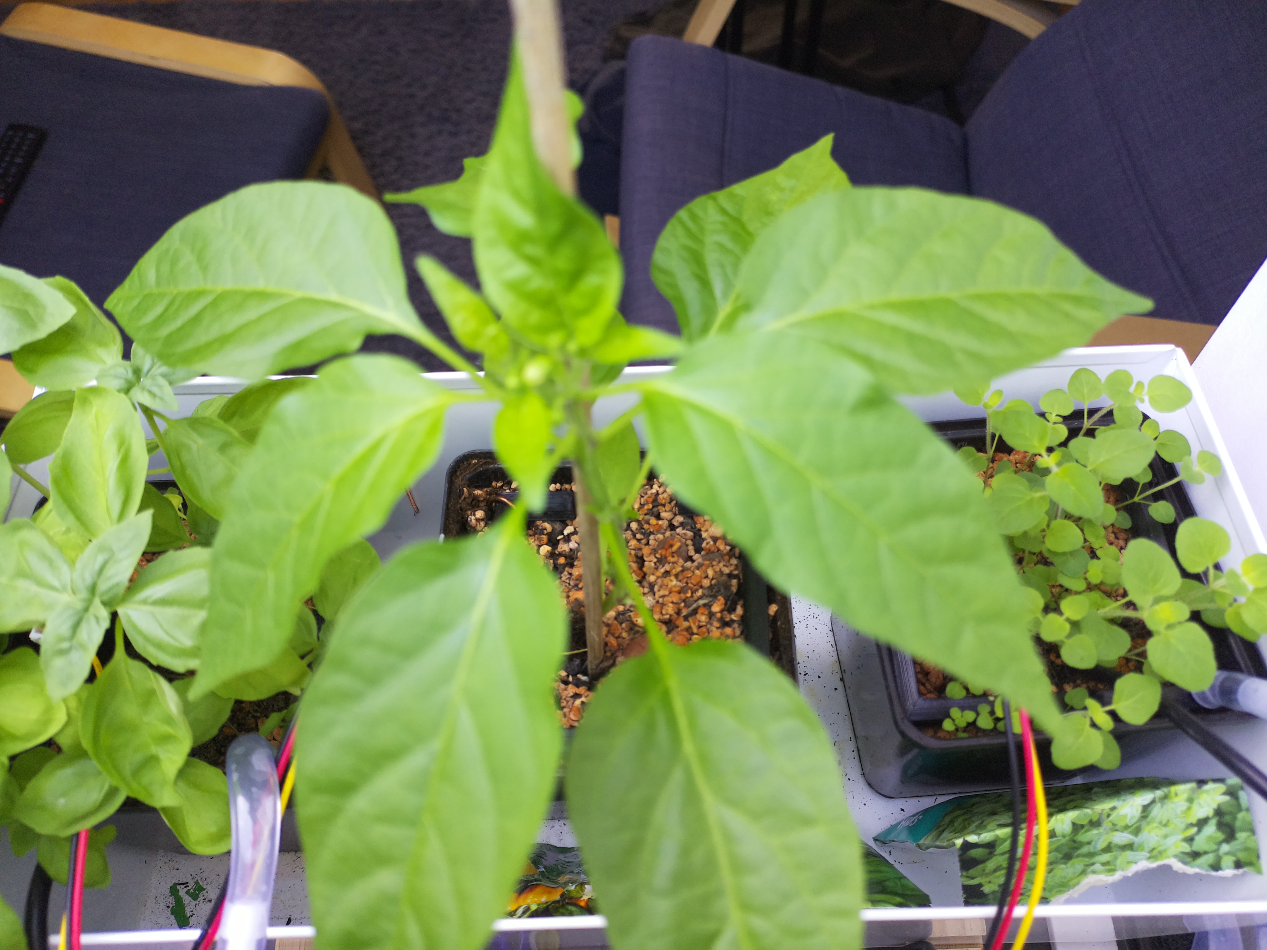 Timelapse image for April 25, 2026