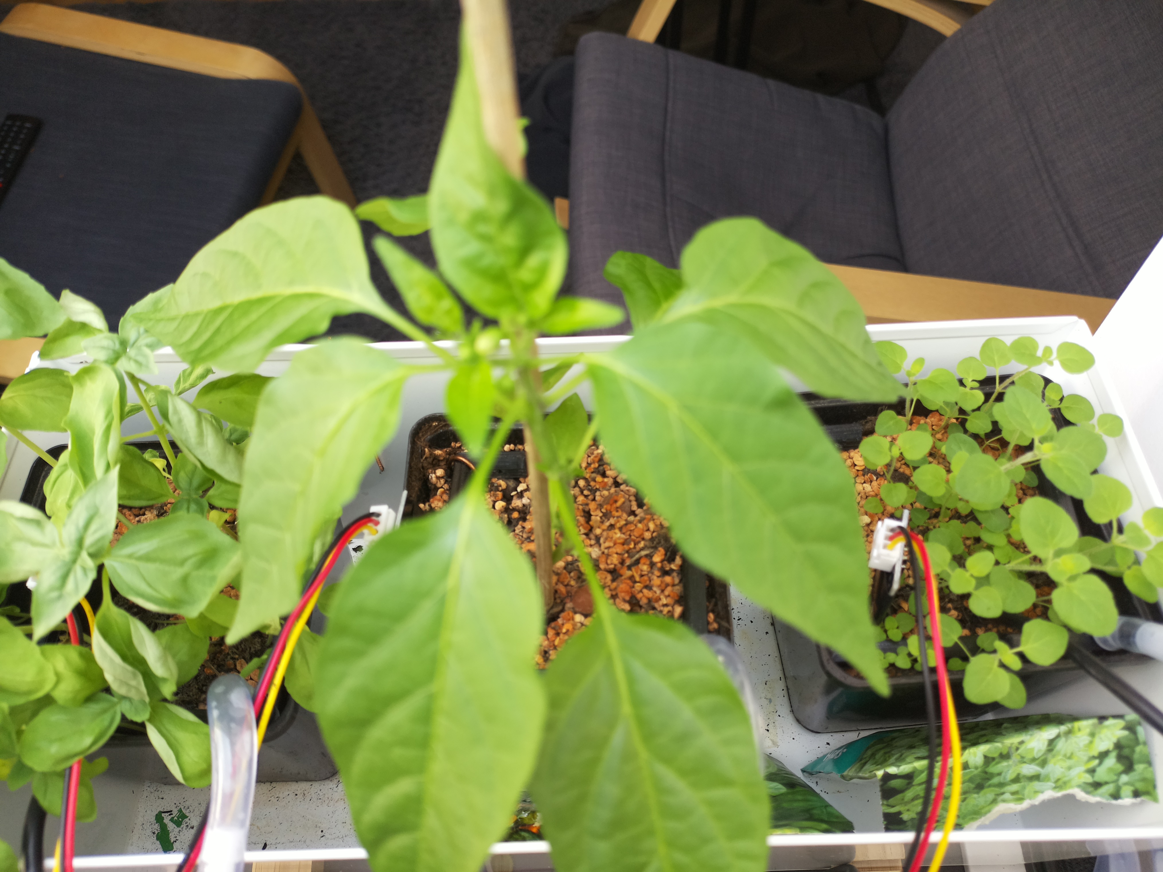 Timelapse image for April 25, 2026