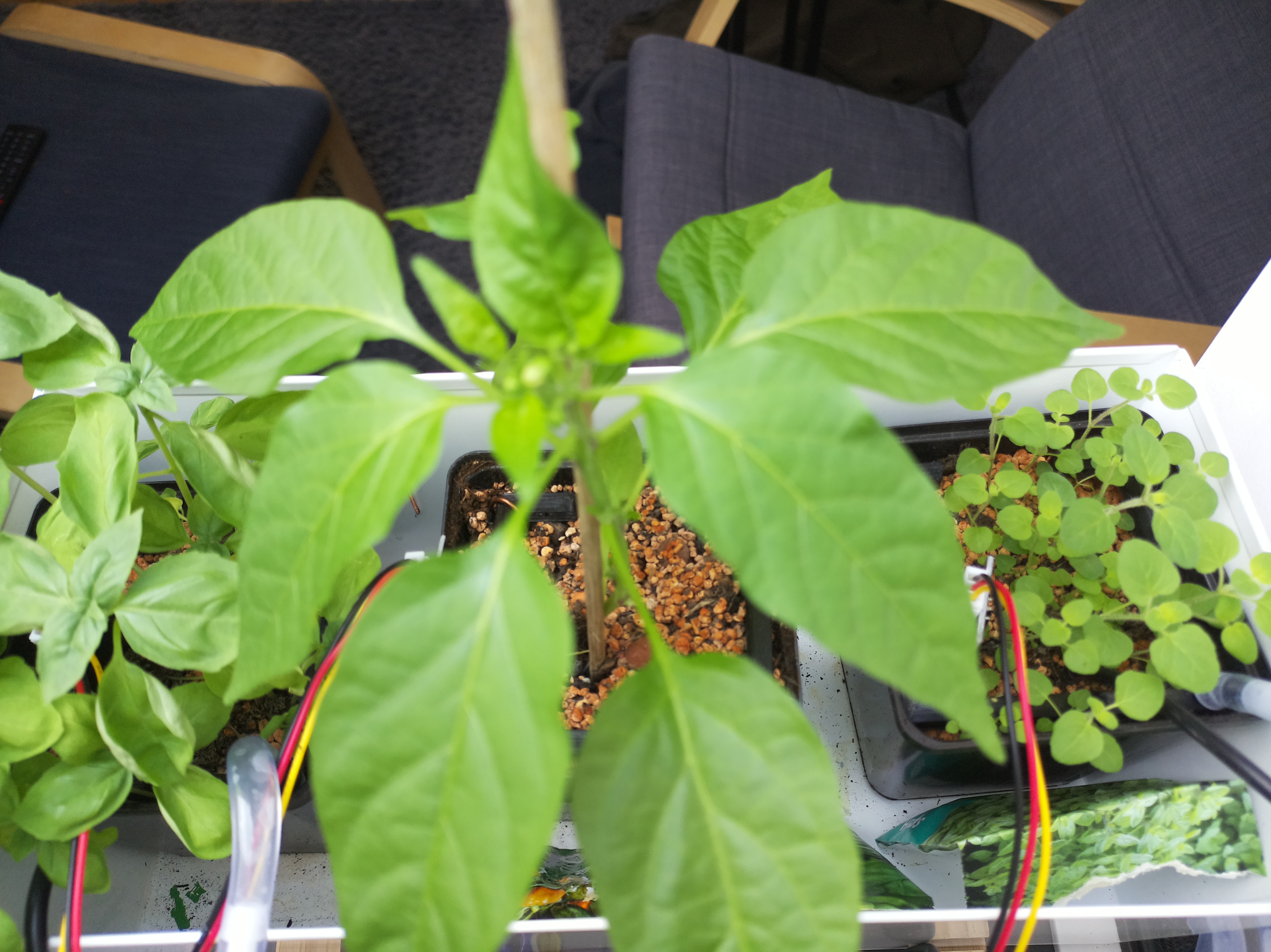 Timelapse image for April 25, 2026