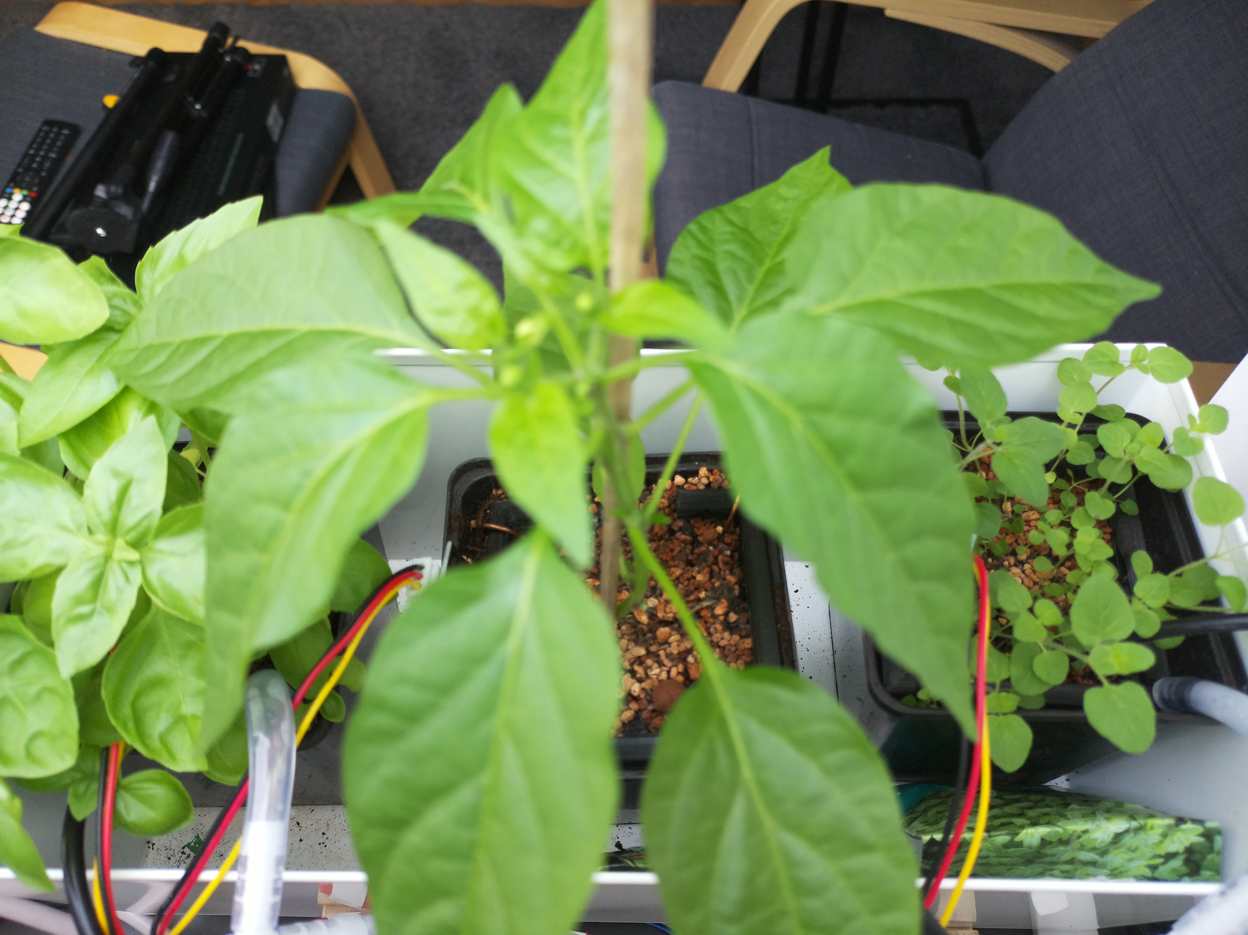 Timelapse image for April 26, 2026