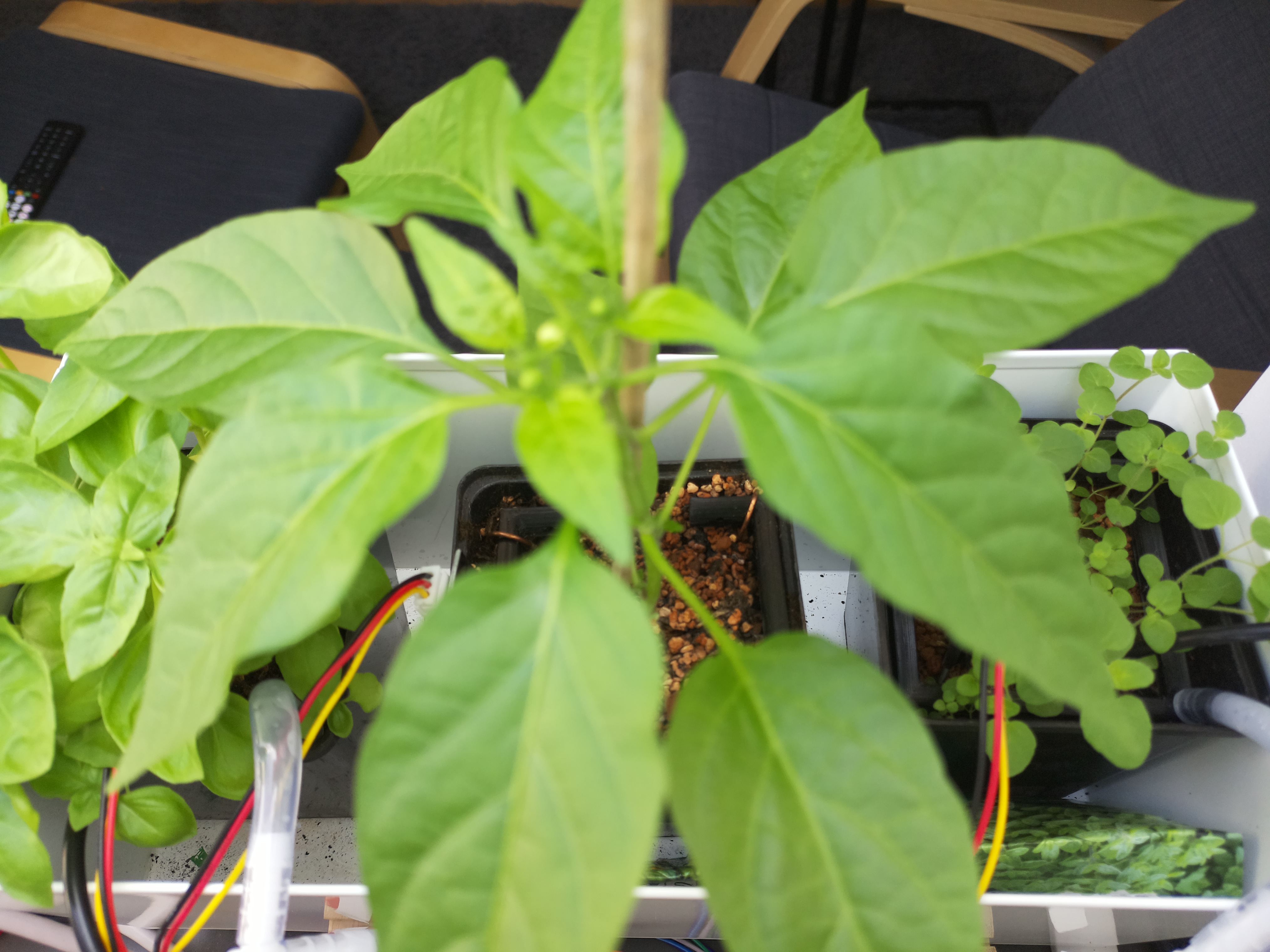 Timelapse image for April 26, 2026