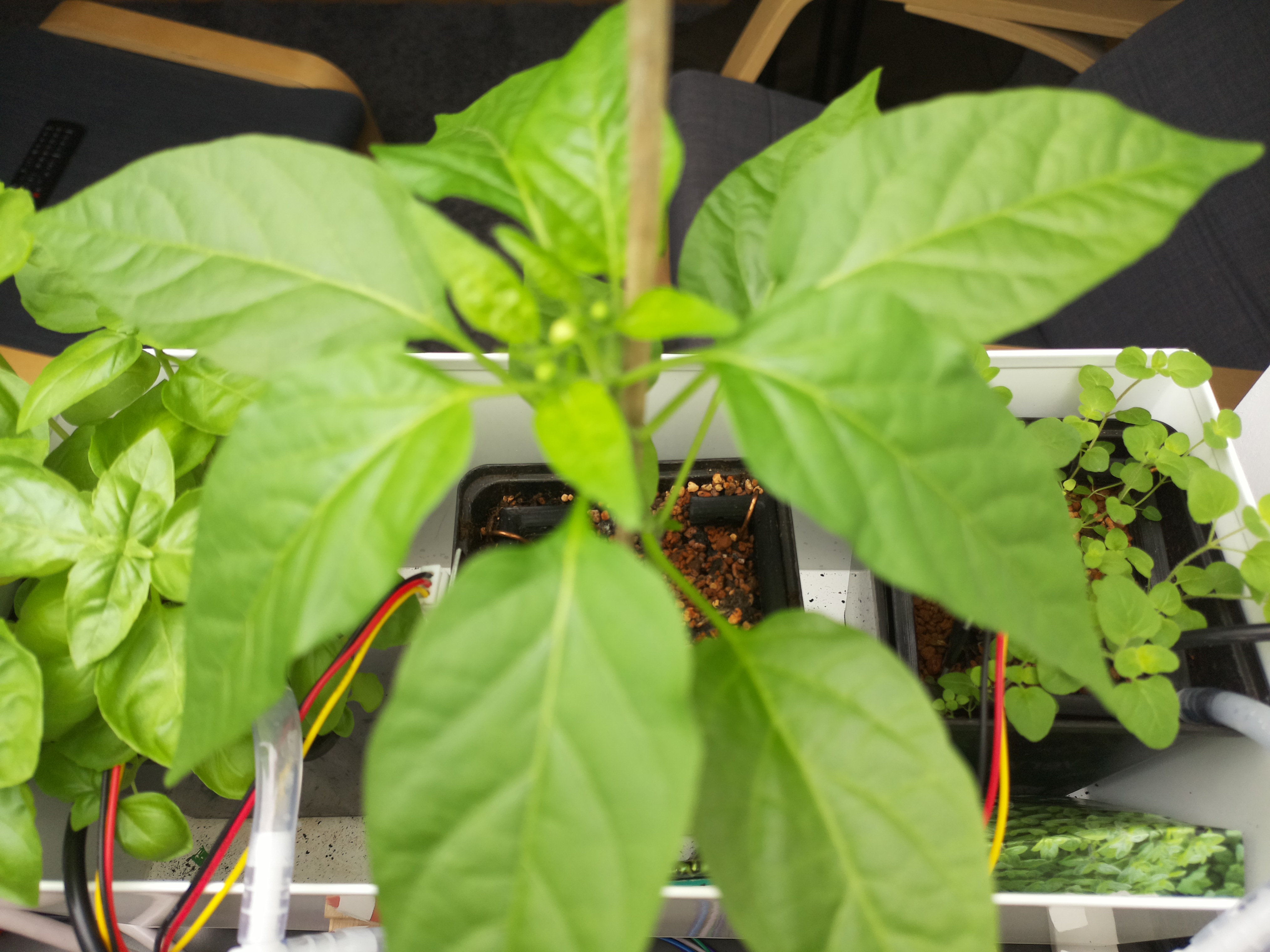 Timelapse image for April 26, 2026