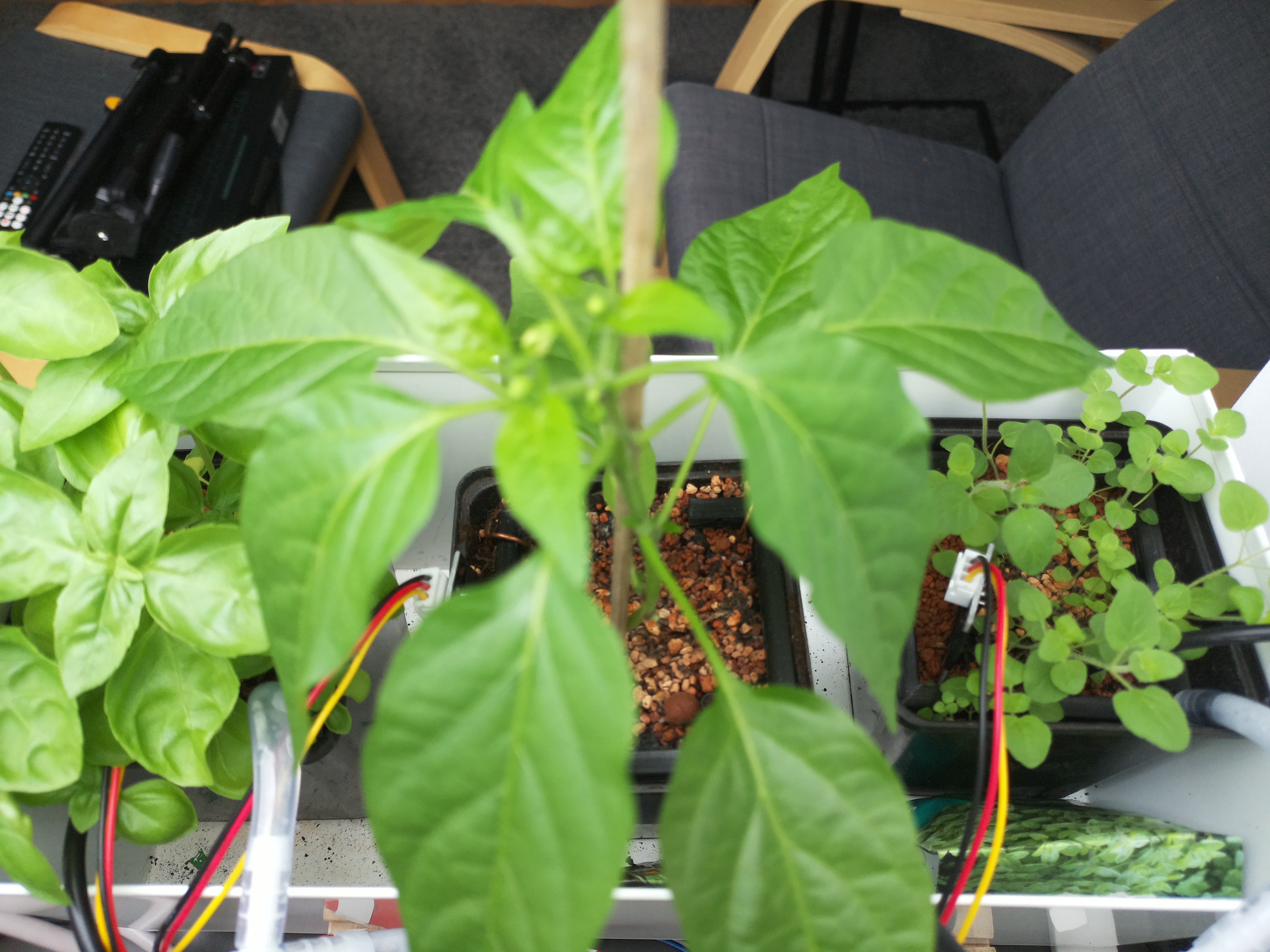 Timelapse image for April 26, 2026