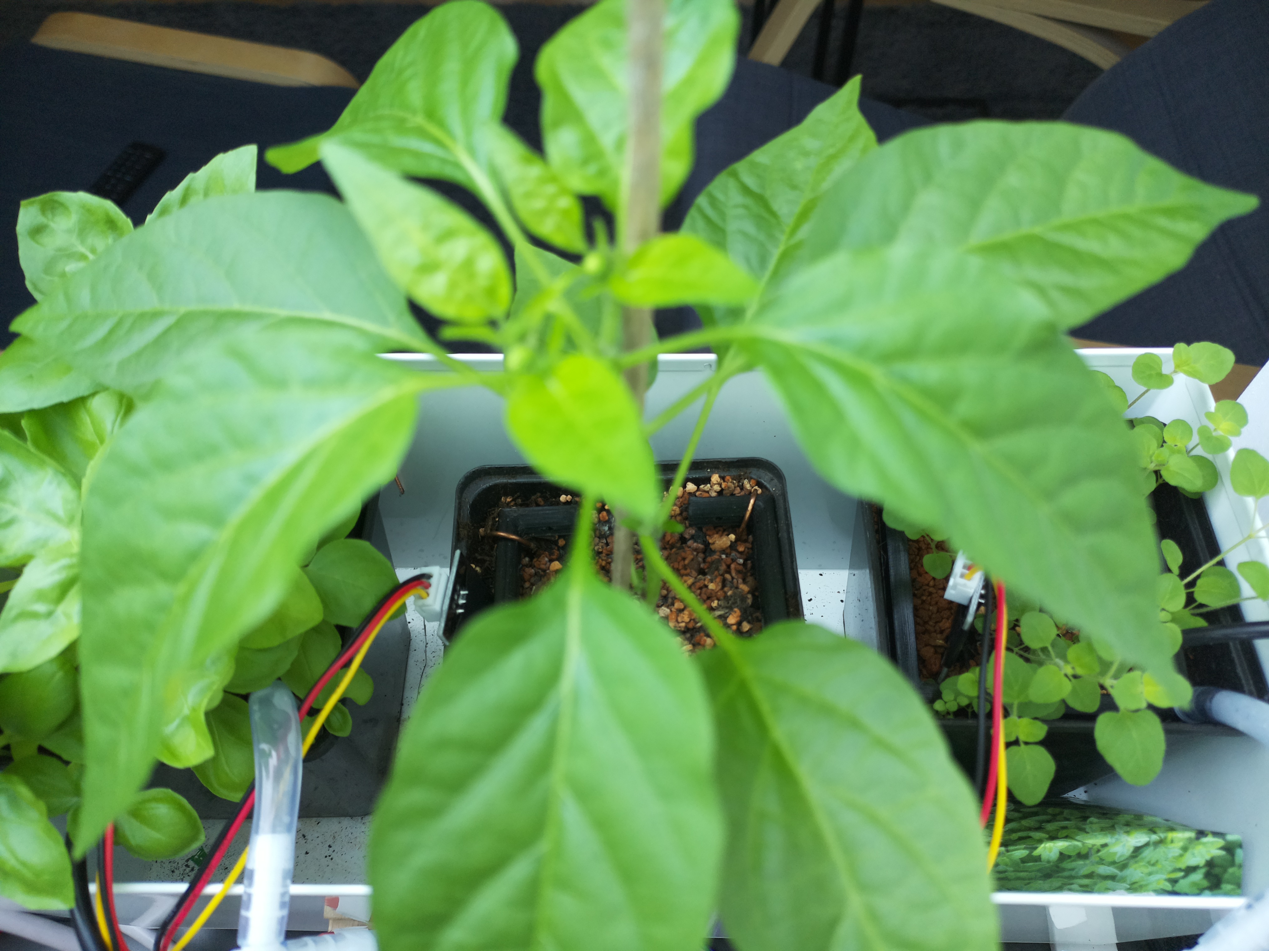 Timelapse image for April 27, 2026