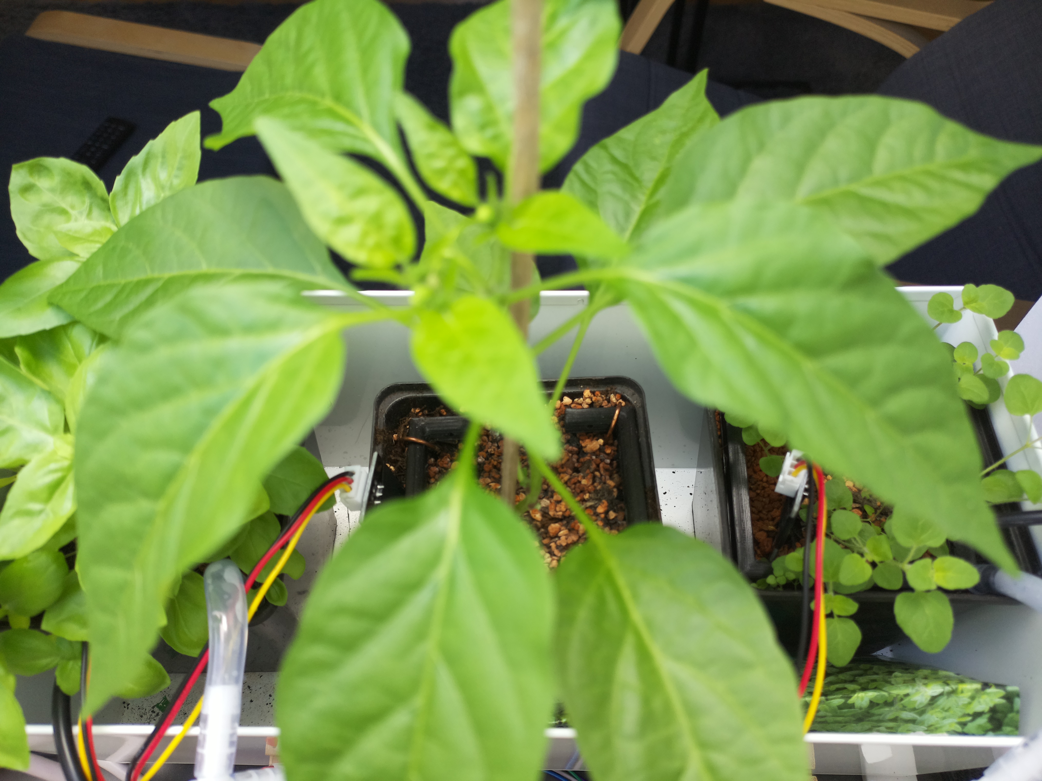 Timelapse image for April 27, 2026