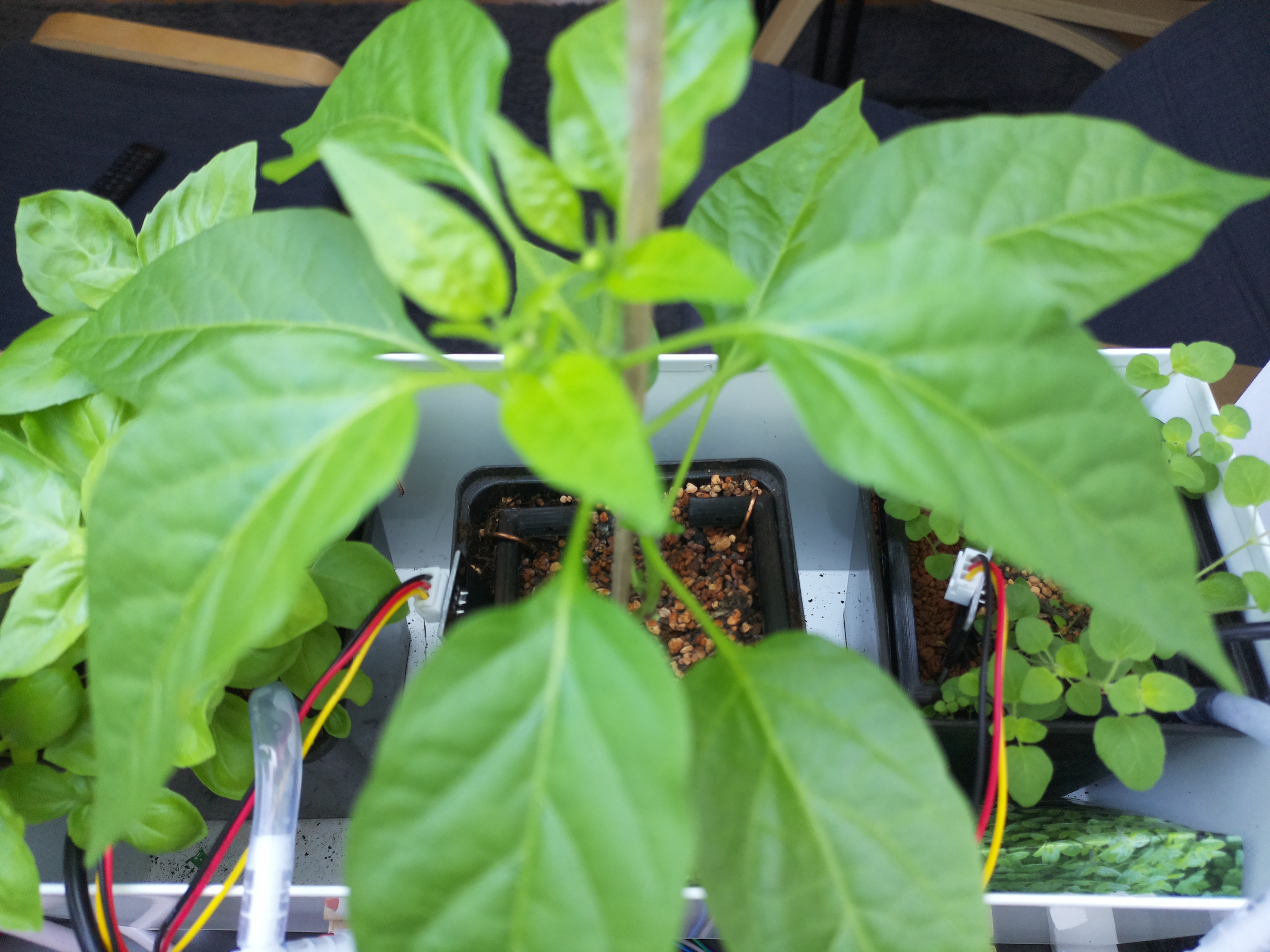 Timelapse image for April 27, 2026