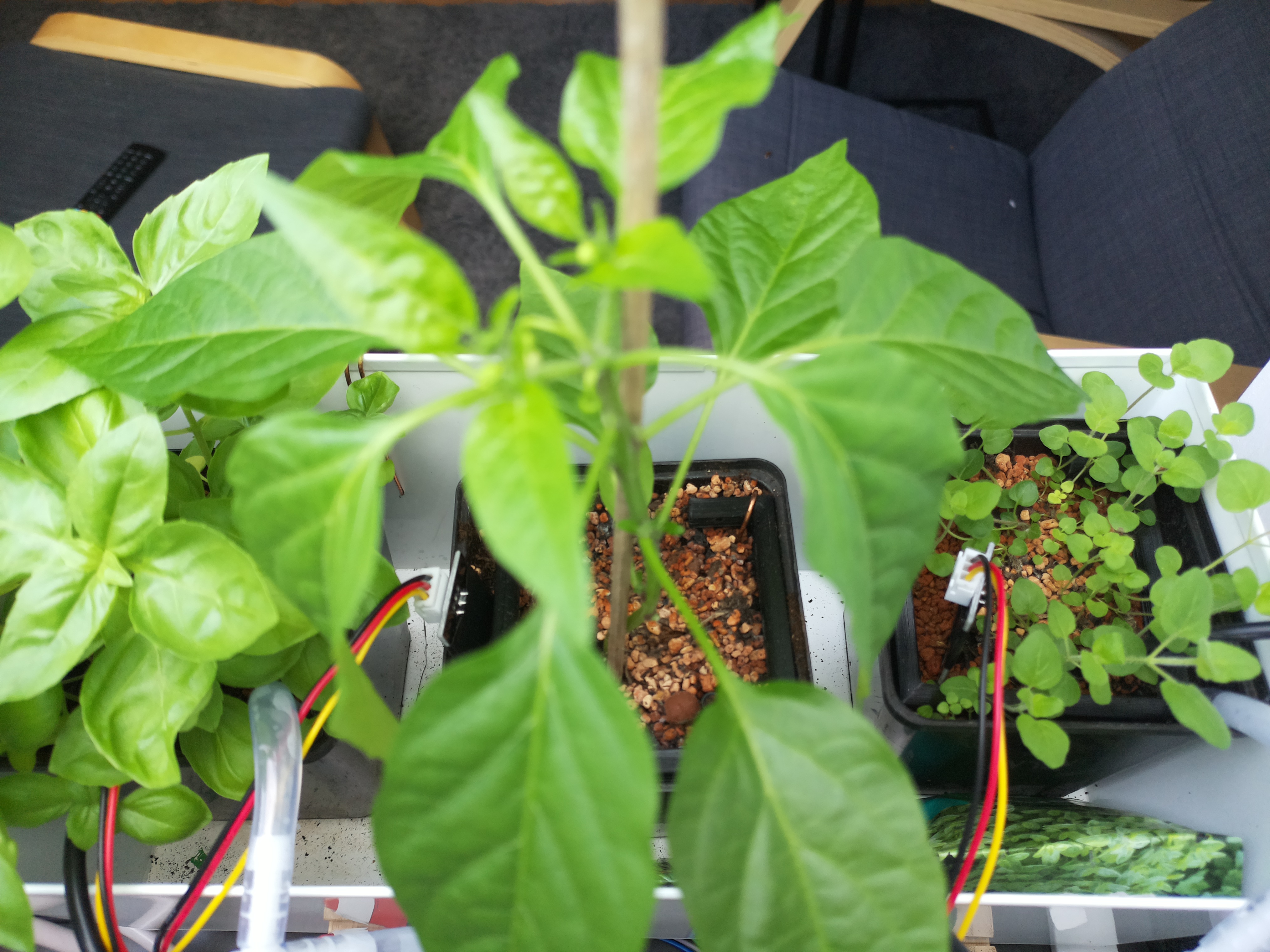 Timelapse image for April 27, 2026