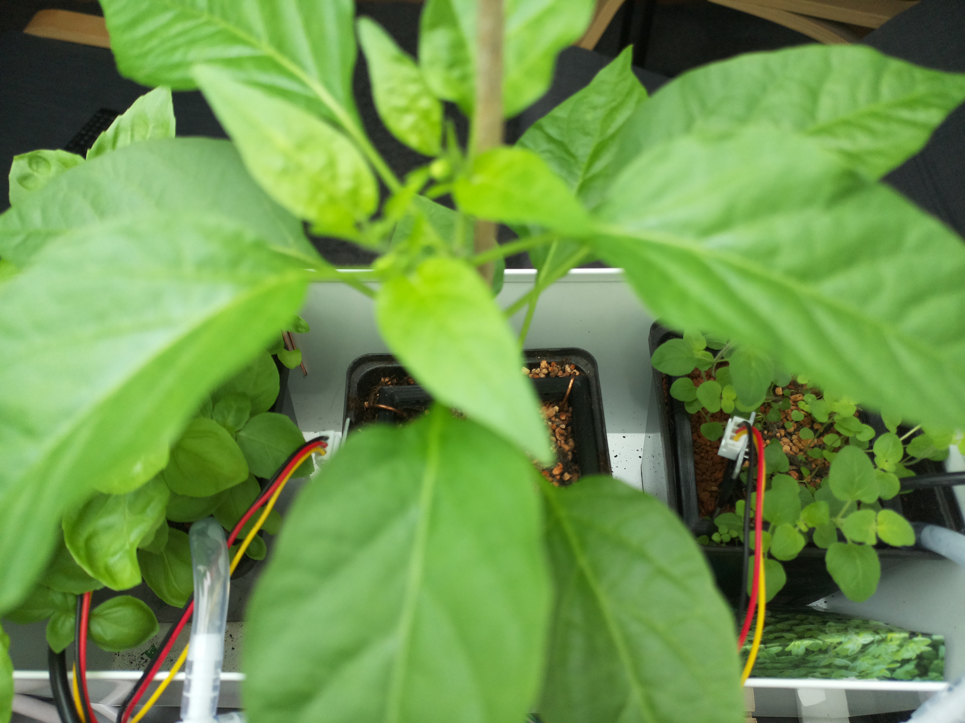 Timelapse image for April 28, 2026