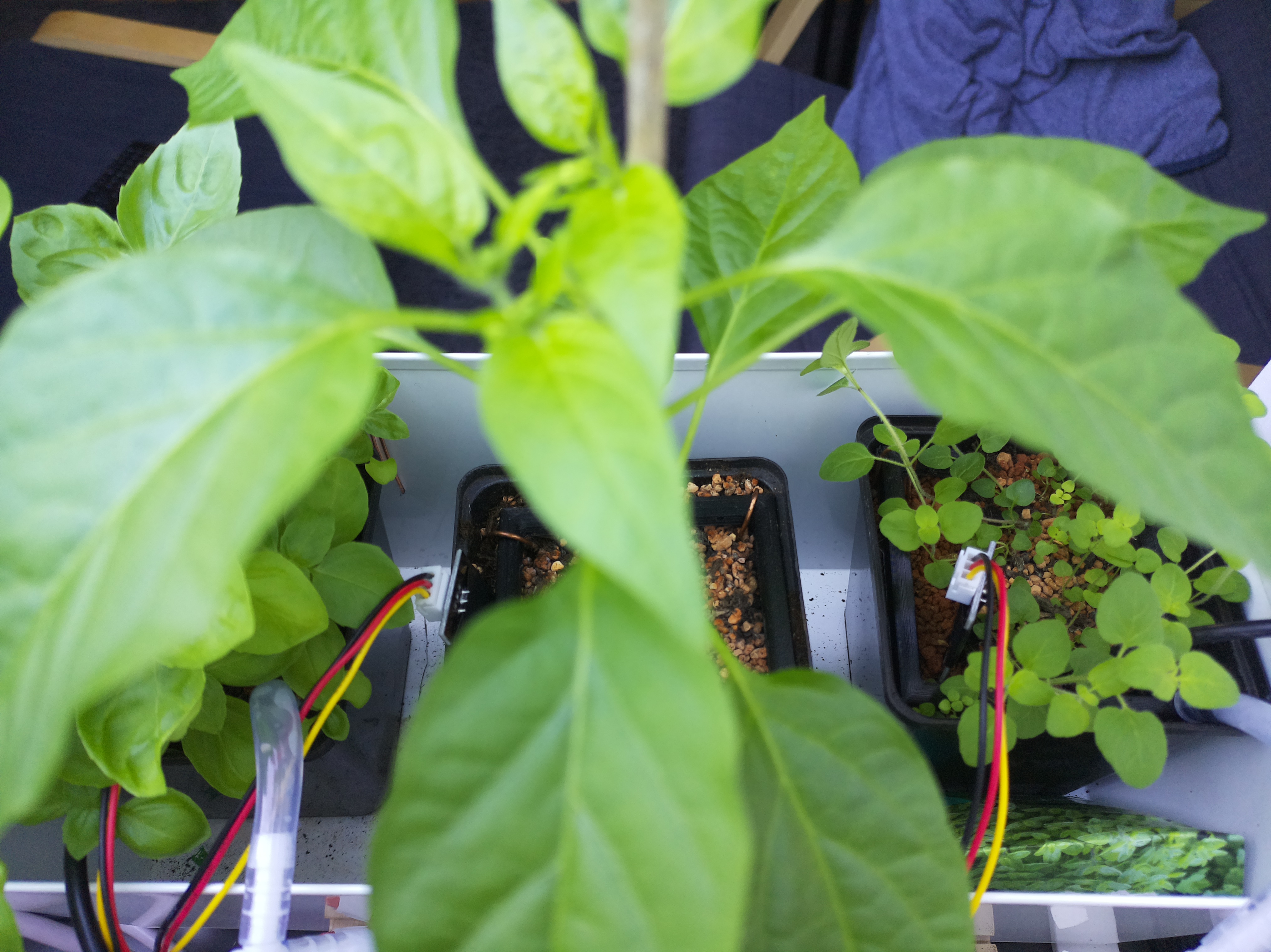 Timelapse image for April 29, 2026