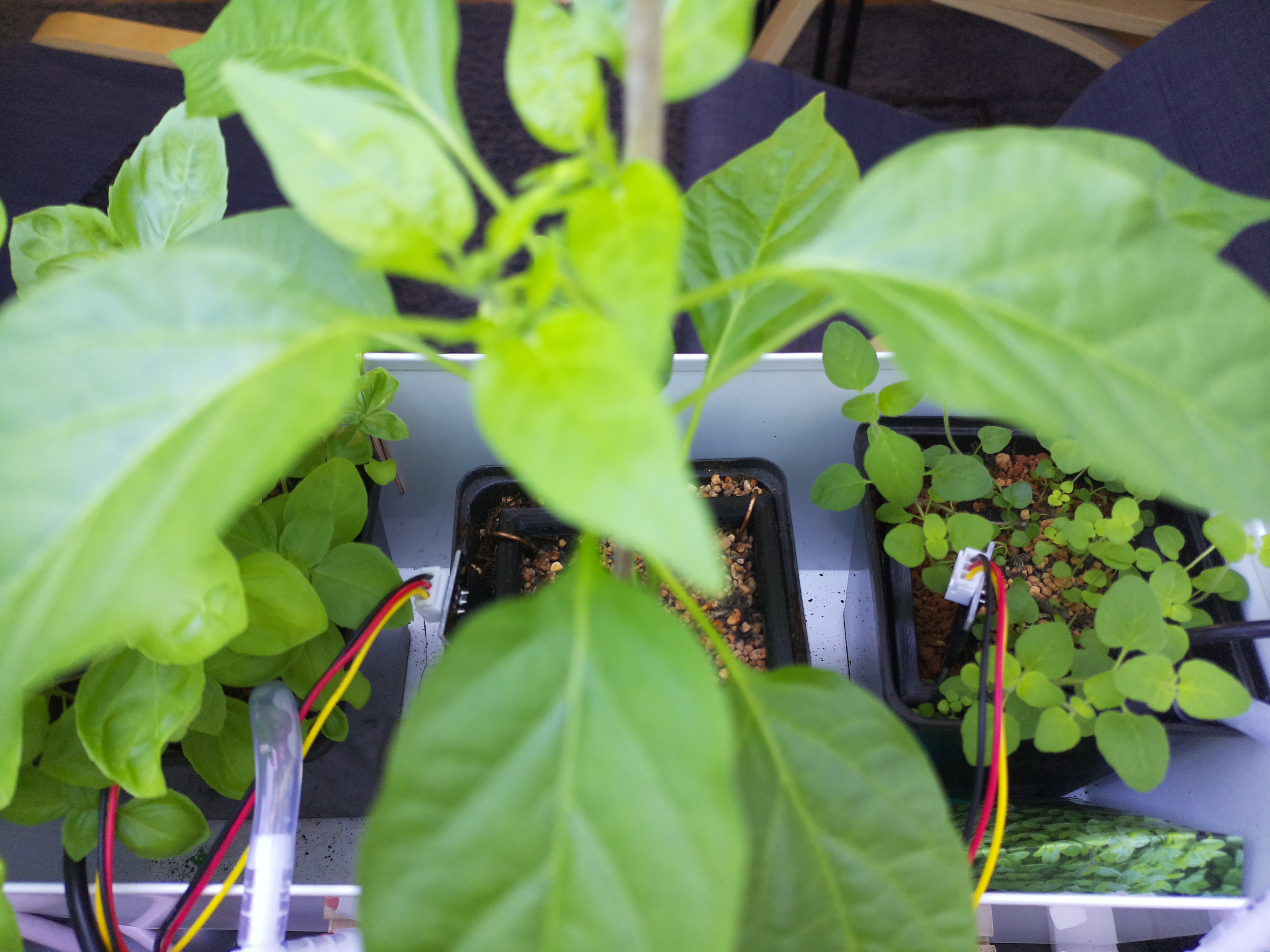 Timelapse image for April 29, 2026