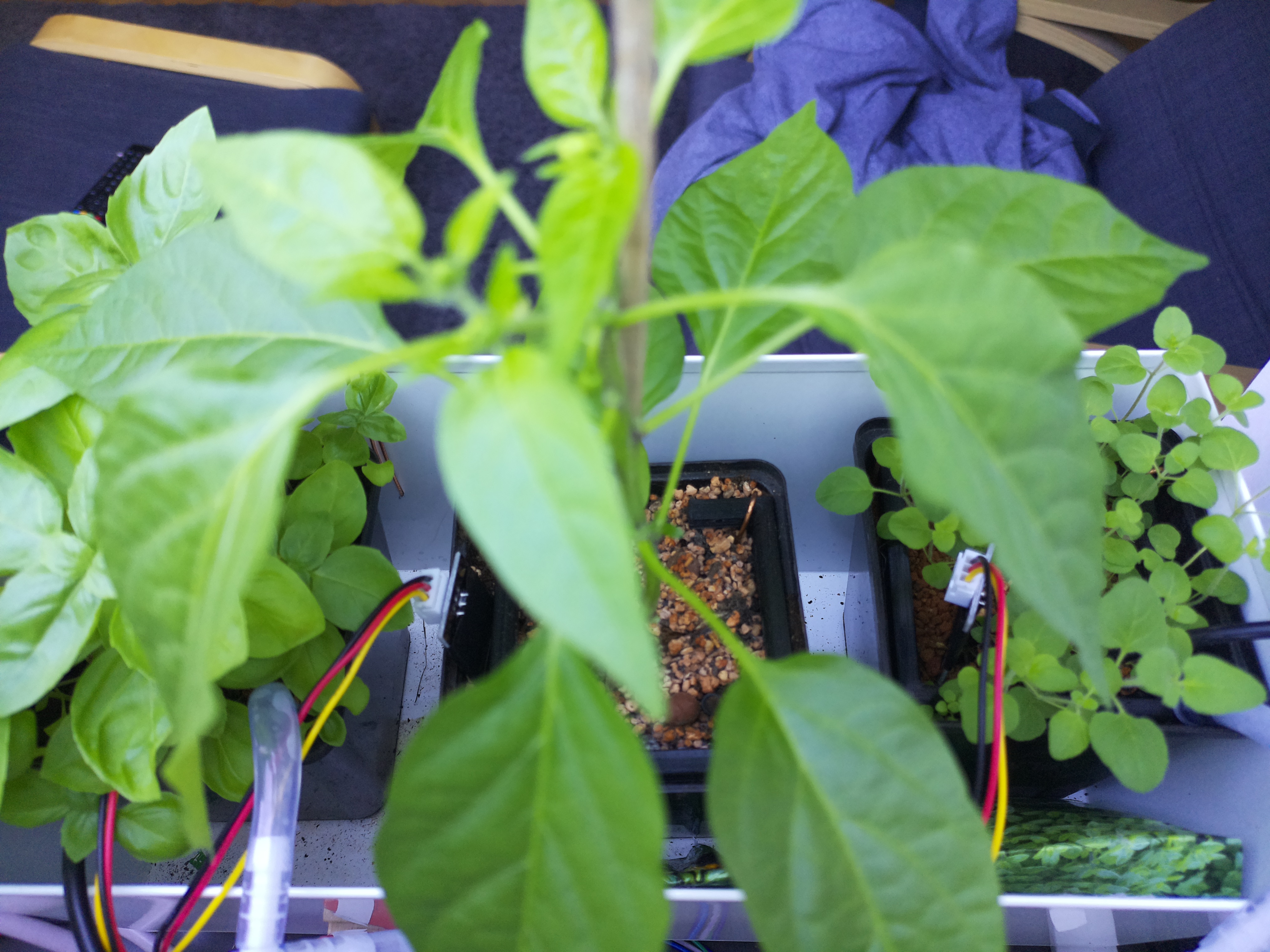 Timelapse image for April 29, 2026